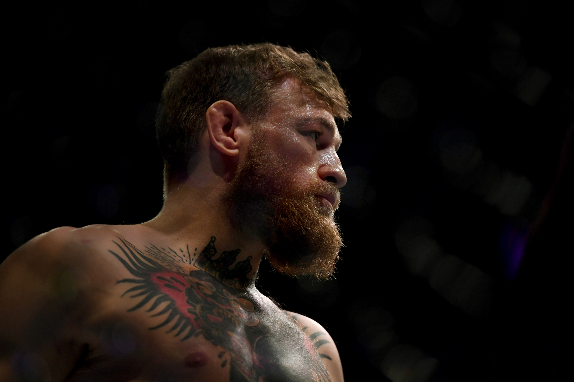 UFC doctor declares Conor McGregor 'the best shape he's ever seen him in' -  MMAmania.com