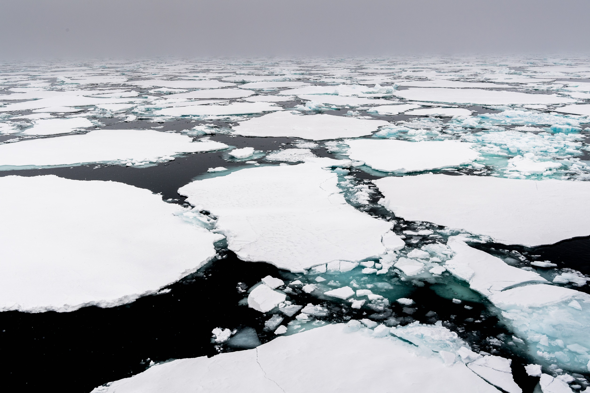 Some experts have suggested we’ve now crossed a tipping point, where the apron of ice around Antarctica won’t ever regrow to its former extent. Photo / 123rf