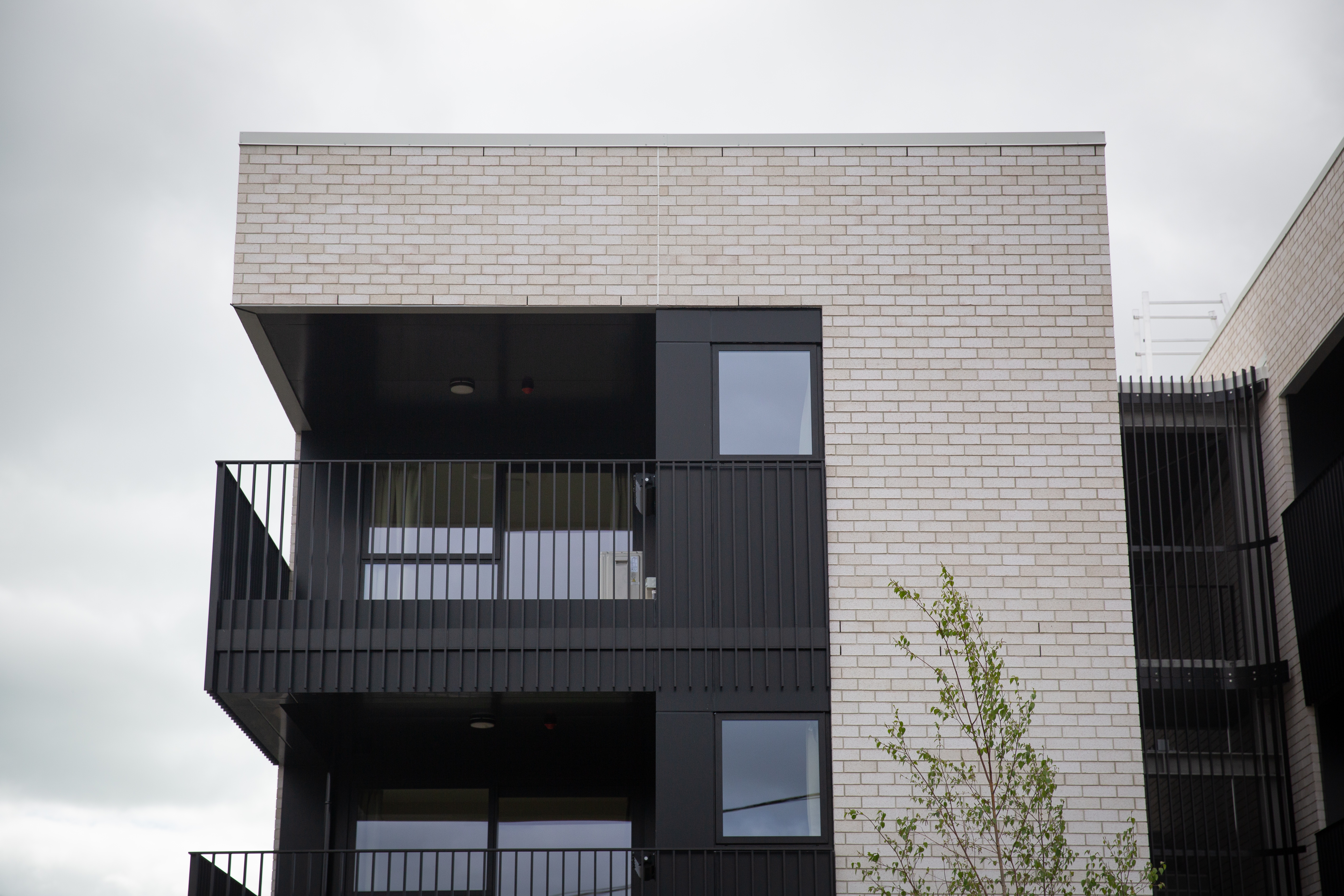 Tenants are expected to move into the Meadowbank apartments within weeks, Kāinga Ora said in October. Photo / Sylvie Whinray