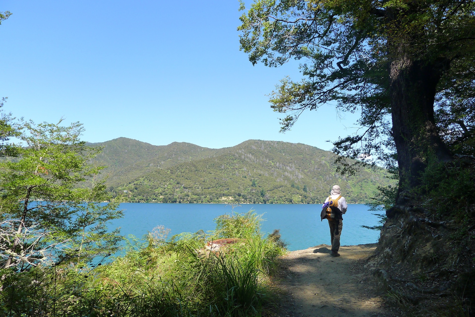 Geoff Chapple rounds a corner of the Queen Charlotte track between Mahia Bay and Anakiwa. Photo / Supplied