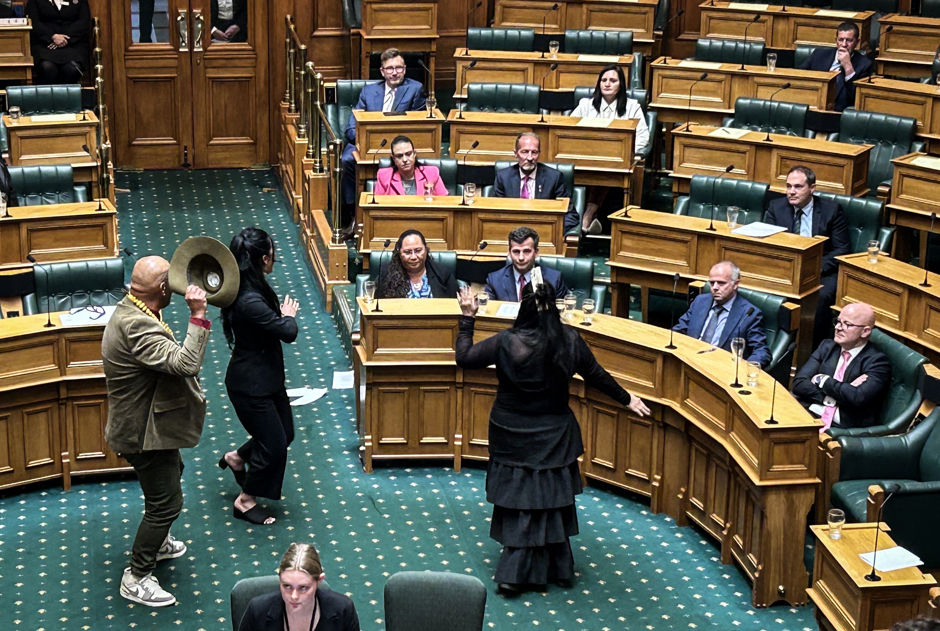 Members of Te Pāti Māori perform a haka in front of Act MPs during the first reading of the Treaty Principles bill in the House at Parliament.
Photo / Adam Pearse