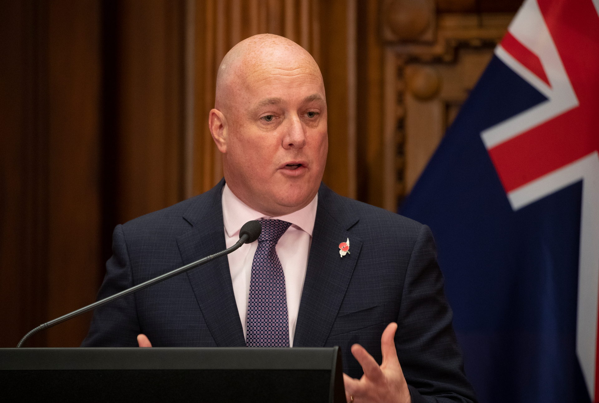 National Party leader Christopher Luxon. Photo / Mark Mitchell