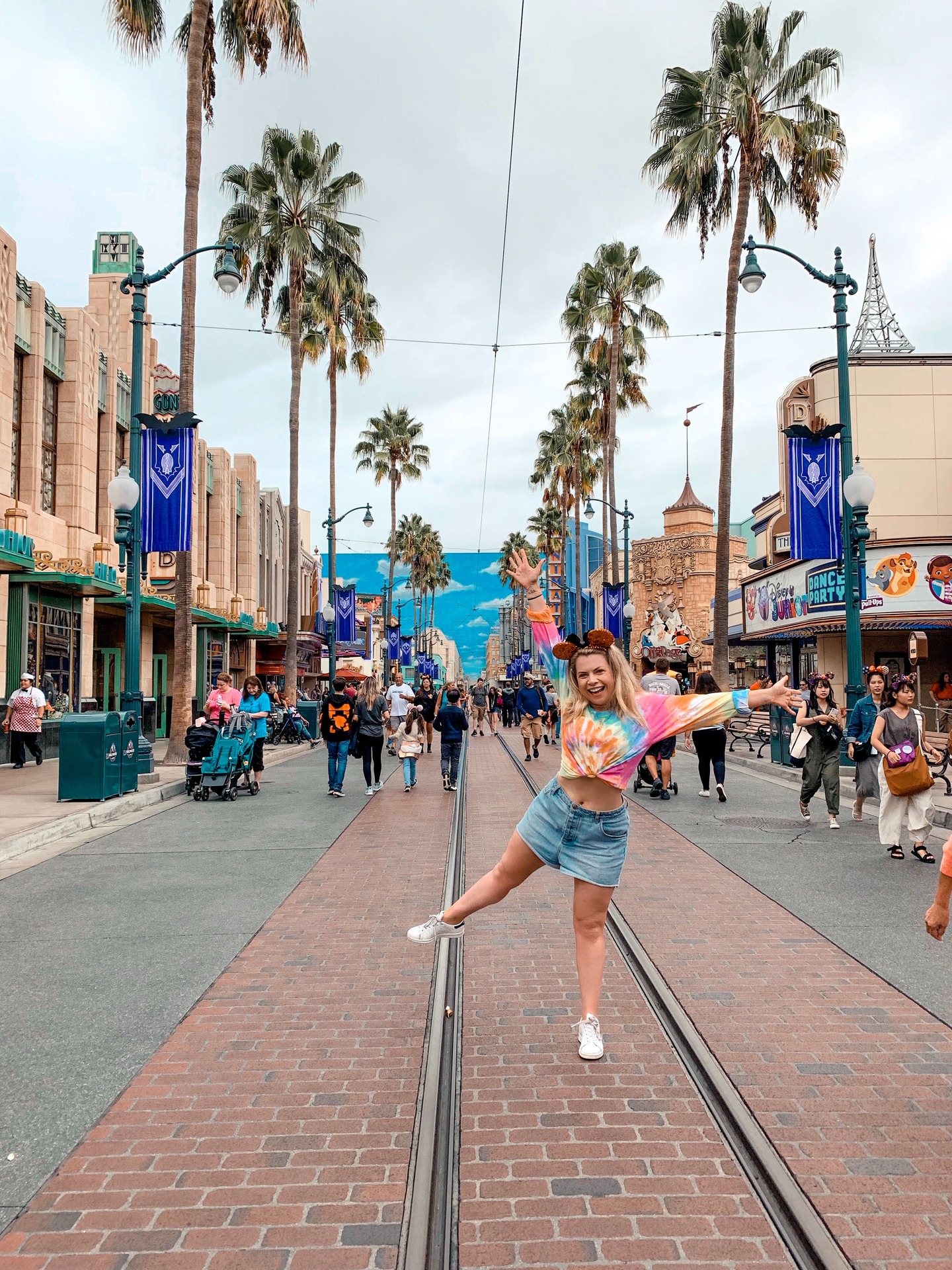 Disney Adults: Visitors without children become Disney Parks' largest  demographic - NZ Herald