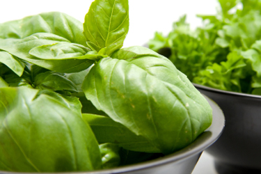Basil is the key ingredient in a Genovese pesto, but you can experiment with other herbs such as parsley or coriander and nuts such as walnuts, almonds and cashews.