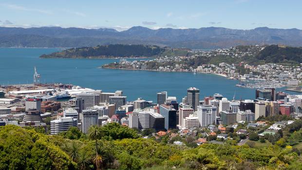 Wellington Water wants to reduce water demand by 10 per cent over the next six years. Photo / Mark Mitchell. 