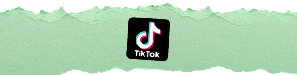 Tiktok is owned by giant Chinese conglomerate Bytedance, which is privately held. Photo / The Spinoff