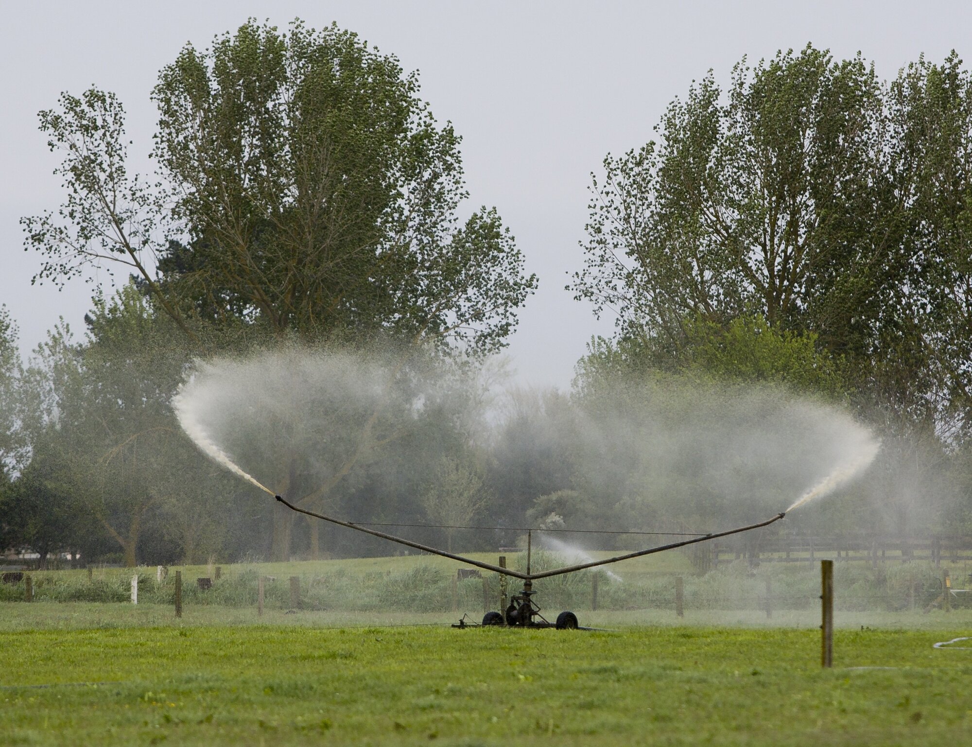 Taranaki dairy herd numbers indicate effluent from 90,000 cows can flow into waterways after milking, although half of the farms concerned have permission to discharge to land.