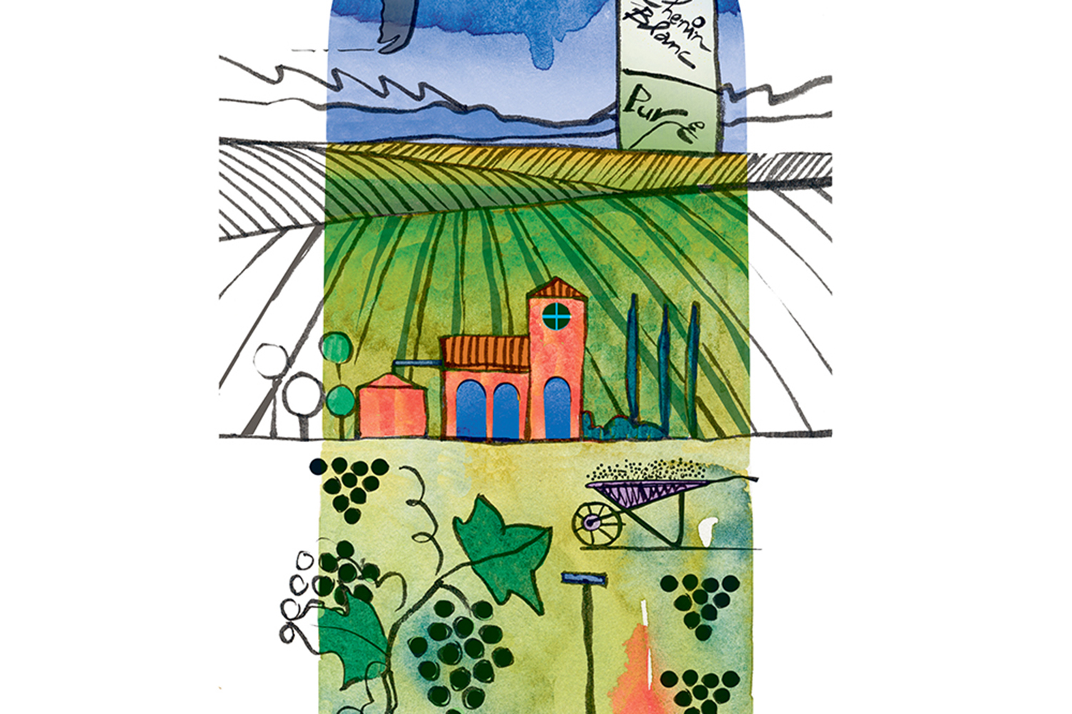 Illustrations / Richard Dale