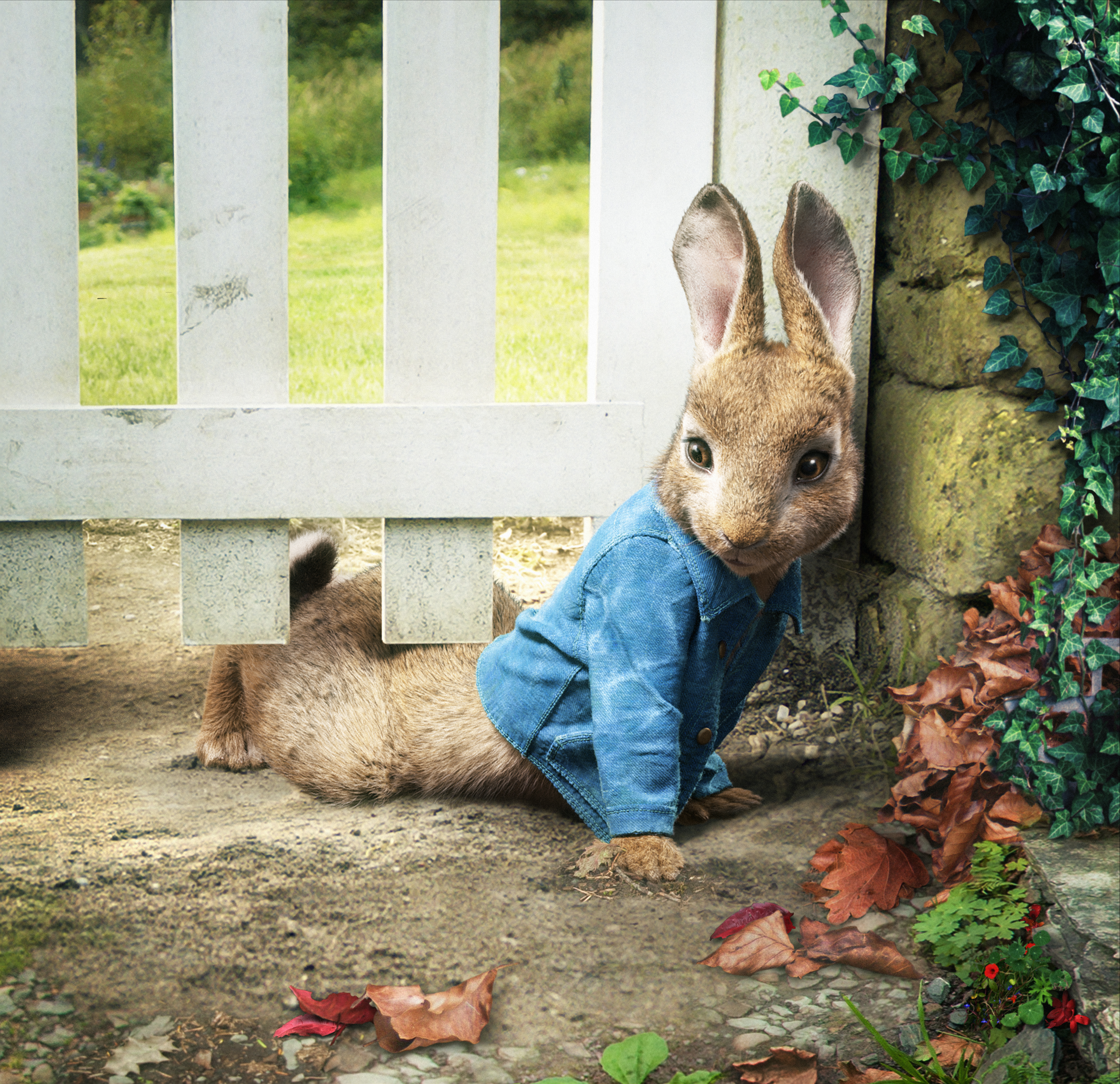 Peter Rabbit - Yahoo Image Search Results