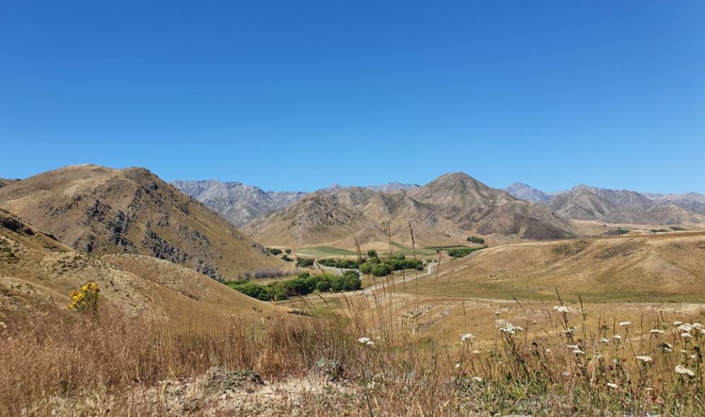 The Niwa drought index lists Marlborough and parts of Tasman, as well as parts of Northland and Wairarapa, as “very dry”. Photo / RNZ 