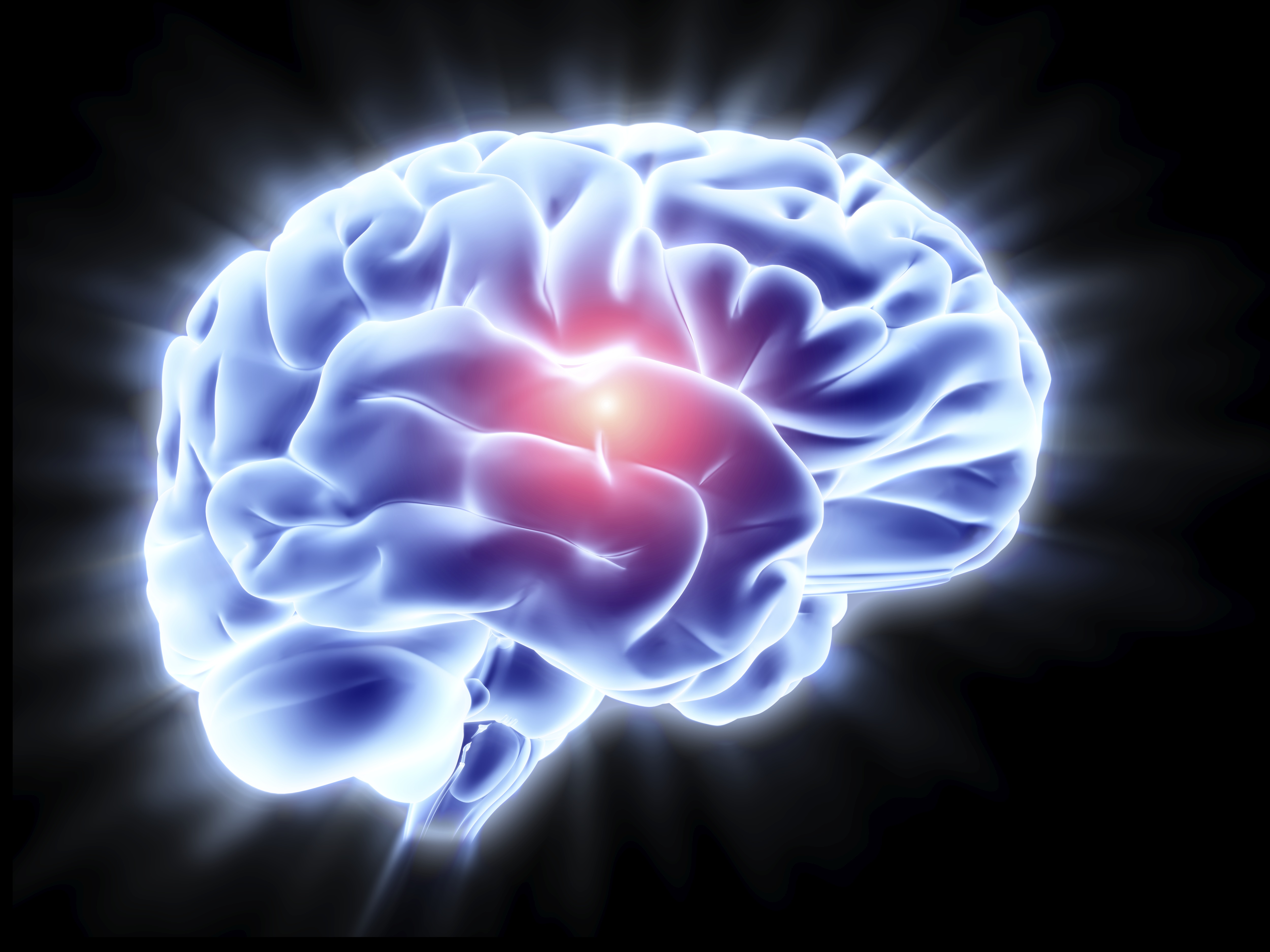An expert in the way dementia hits women said oestrogen has a protective impact on the connections in the brain. Photo / Getty