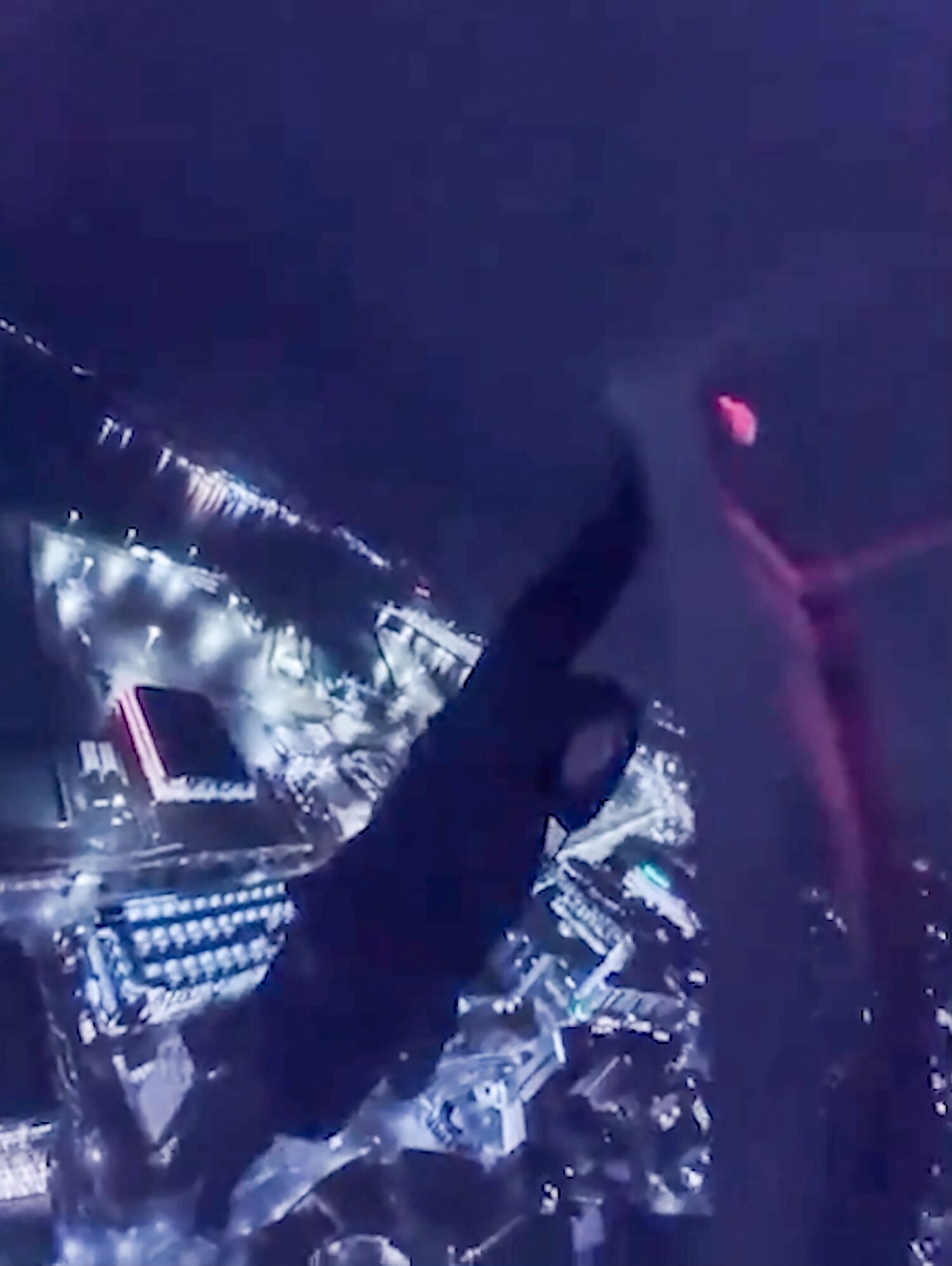 The 30-second clip on TikTok shows the daredevil precariously climbing down a ladder against the backdrop of Port of Auckland far below. Photo / Supplied