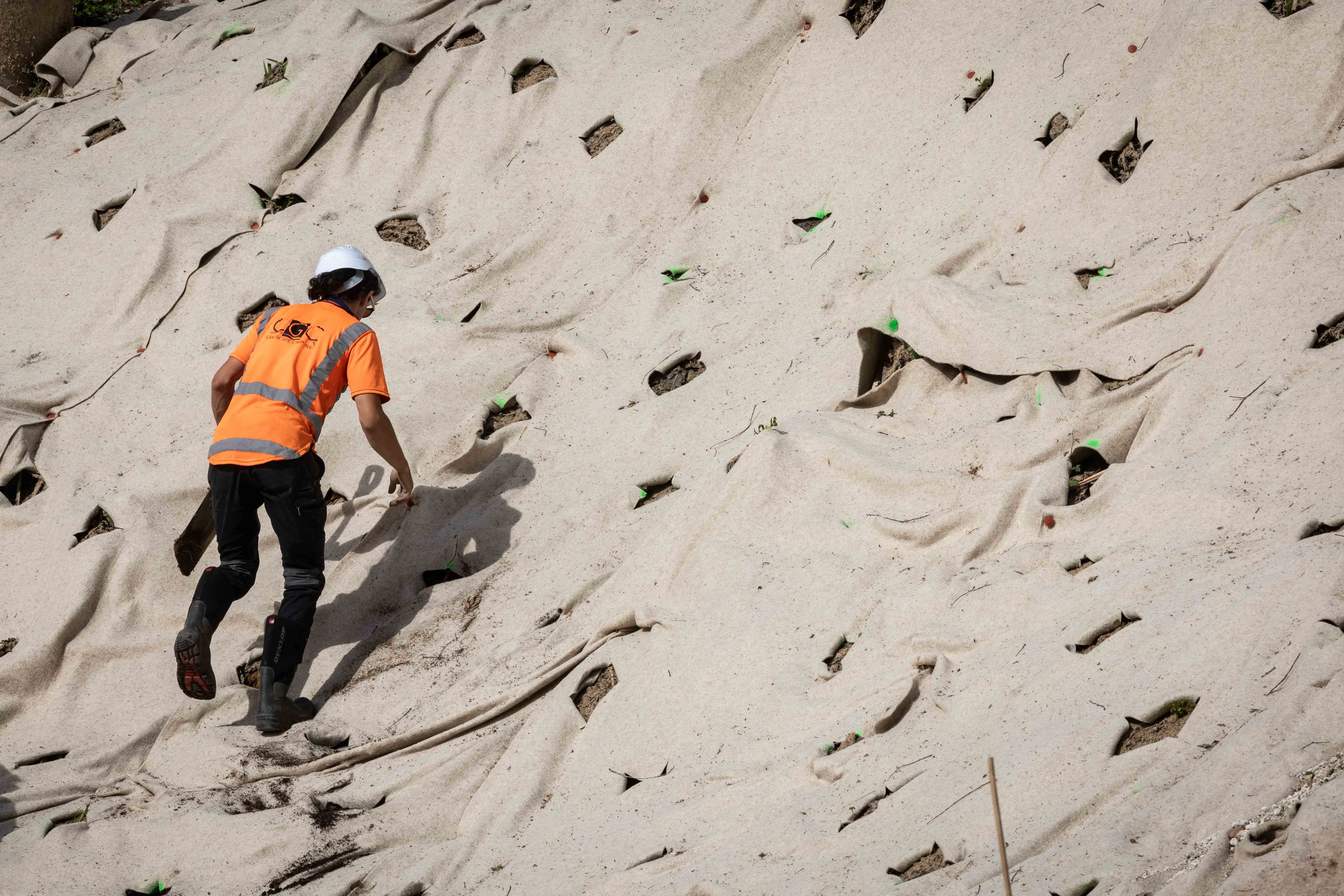 A contractor carries out planting preparation on a hill at Tunks Reserve between Elizabeth St east and The Strand. Photo / Alex Cairns
