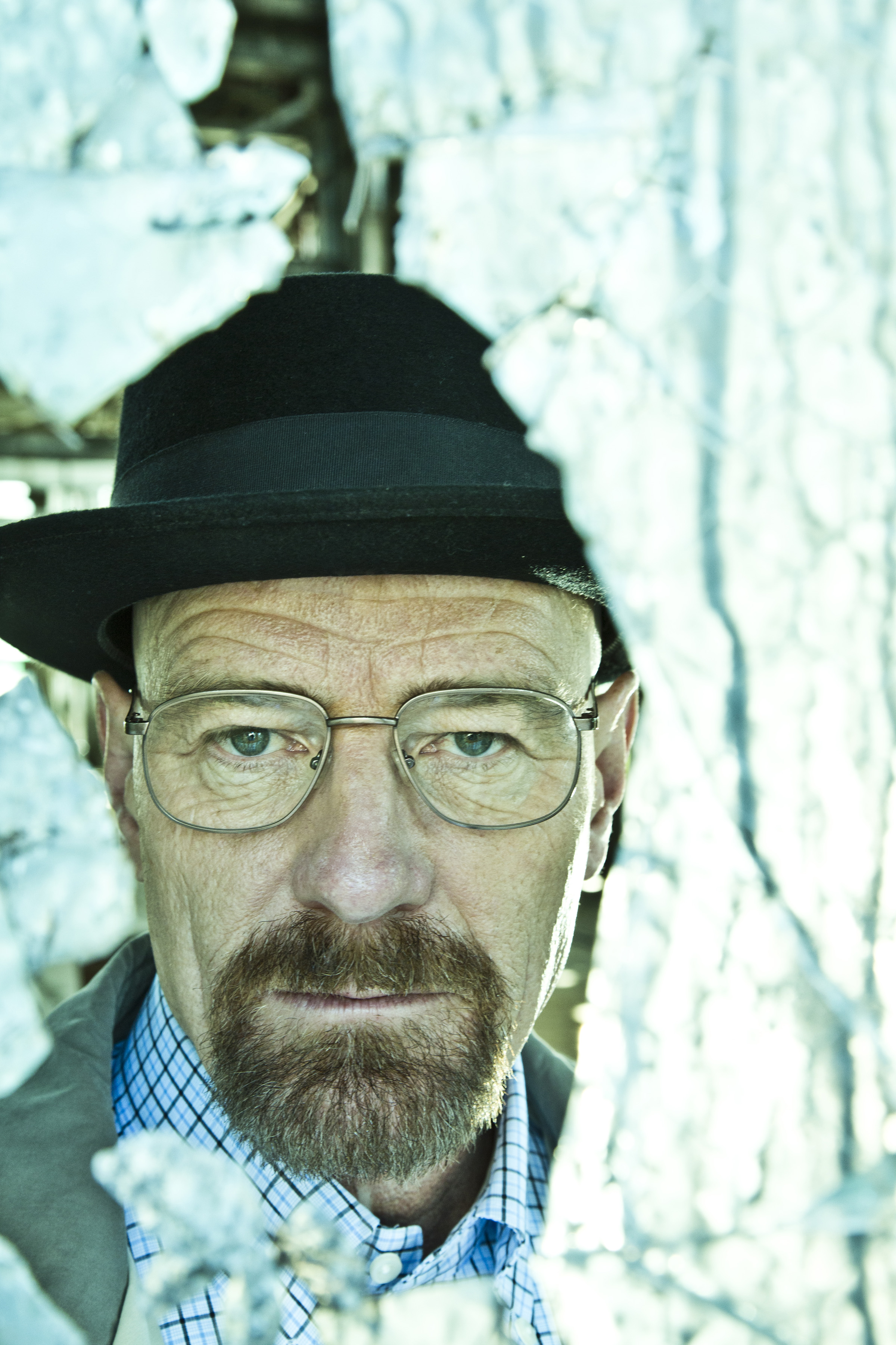 Bryan Cranston as Walter White in Breaking Bad. Is it the greatest TV show of all time?
Photo: Frank Ockenfels/AMC