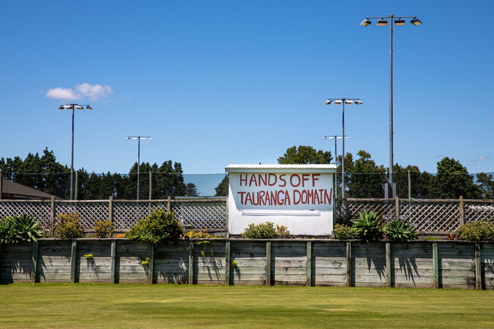 A protest meeting will be held at Tauranga Domain on March 1 to fight plans to build a $170m-$180m boutique stadium on the site, displacing some sports clubs. Photo / Mead Norton
