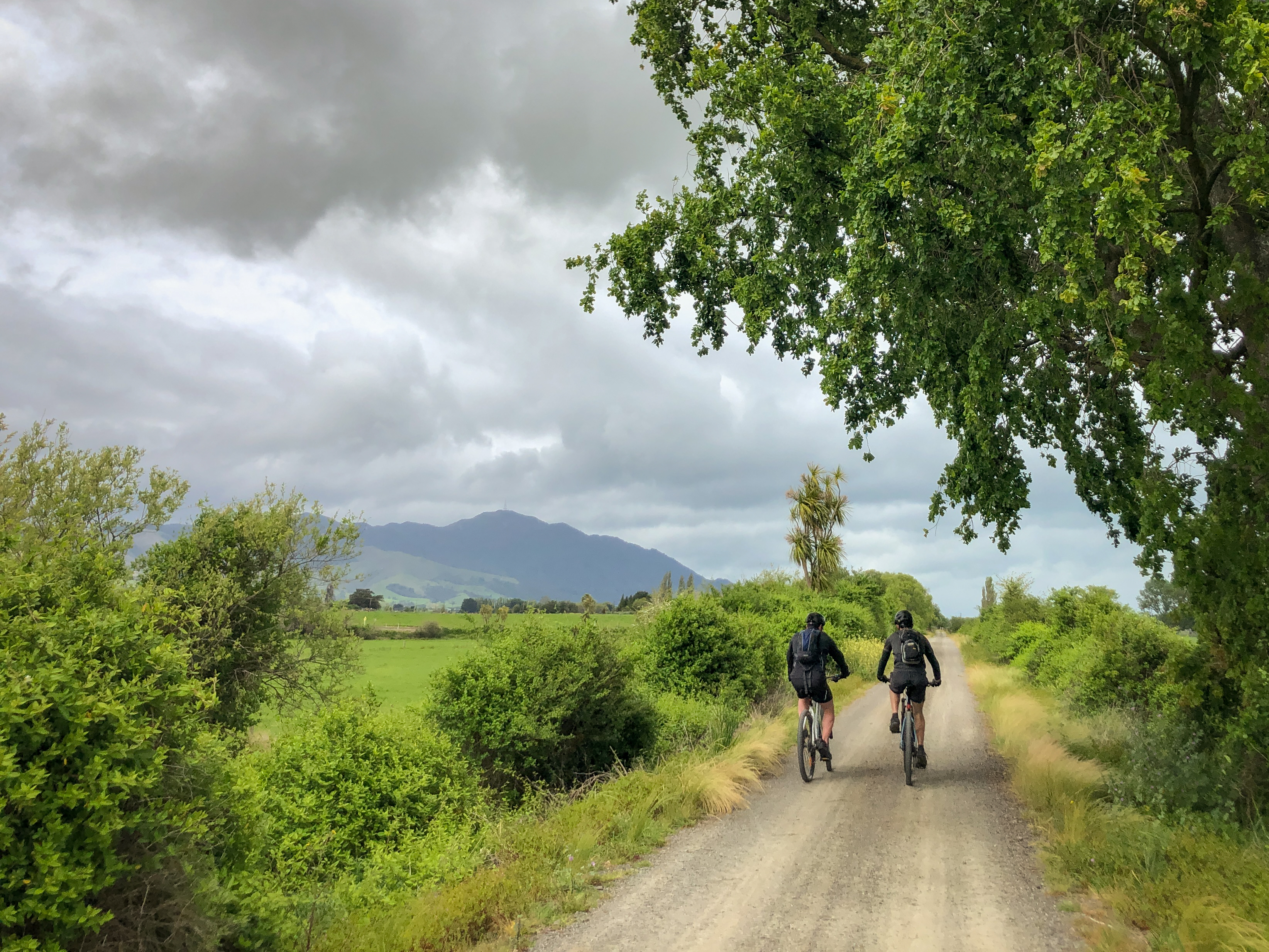 Dominating the scenery, the magnificent Te Aroha ('Mountain of Love') can be seen from the trail, adding a romantic touch to the route. Photo / Hamilton & Waikato Tourism