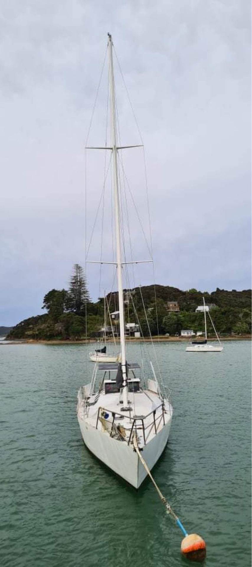 This steel ketch named Dove went up in flames in the Bay of Islands while its owner Tim Francis and his brother Andrew were on board.
Photo / Supplied