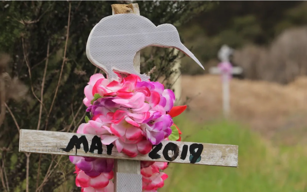 In Rangitane, near Kerikeri, local residents place roadside crosses where kiwi have been killed by cars. Photo: RNZ / Peter de Graaf
