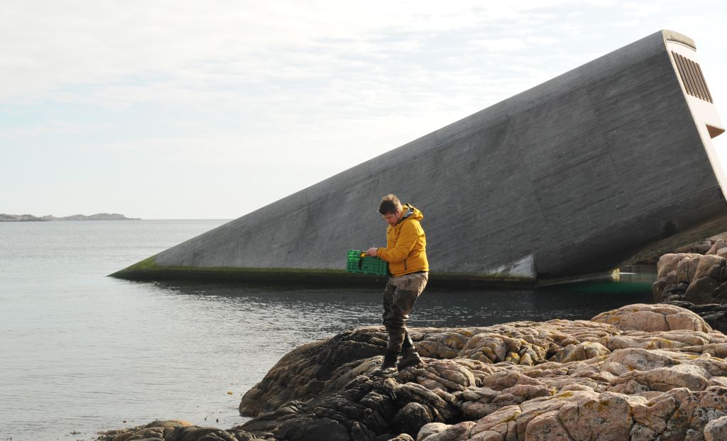 Chef Nicolai Ellitsgaard foraging for ingredients outside Norway's underwater restaurant, Under. Photo / Getty Images