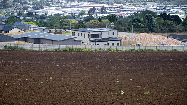 Urban development absorbs the growing fields around Pukekohe. Photo / Jason Oxenham