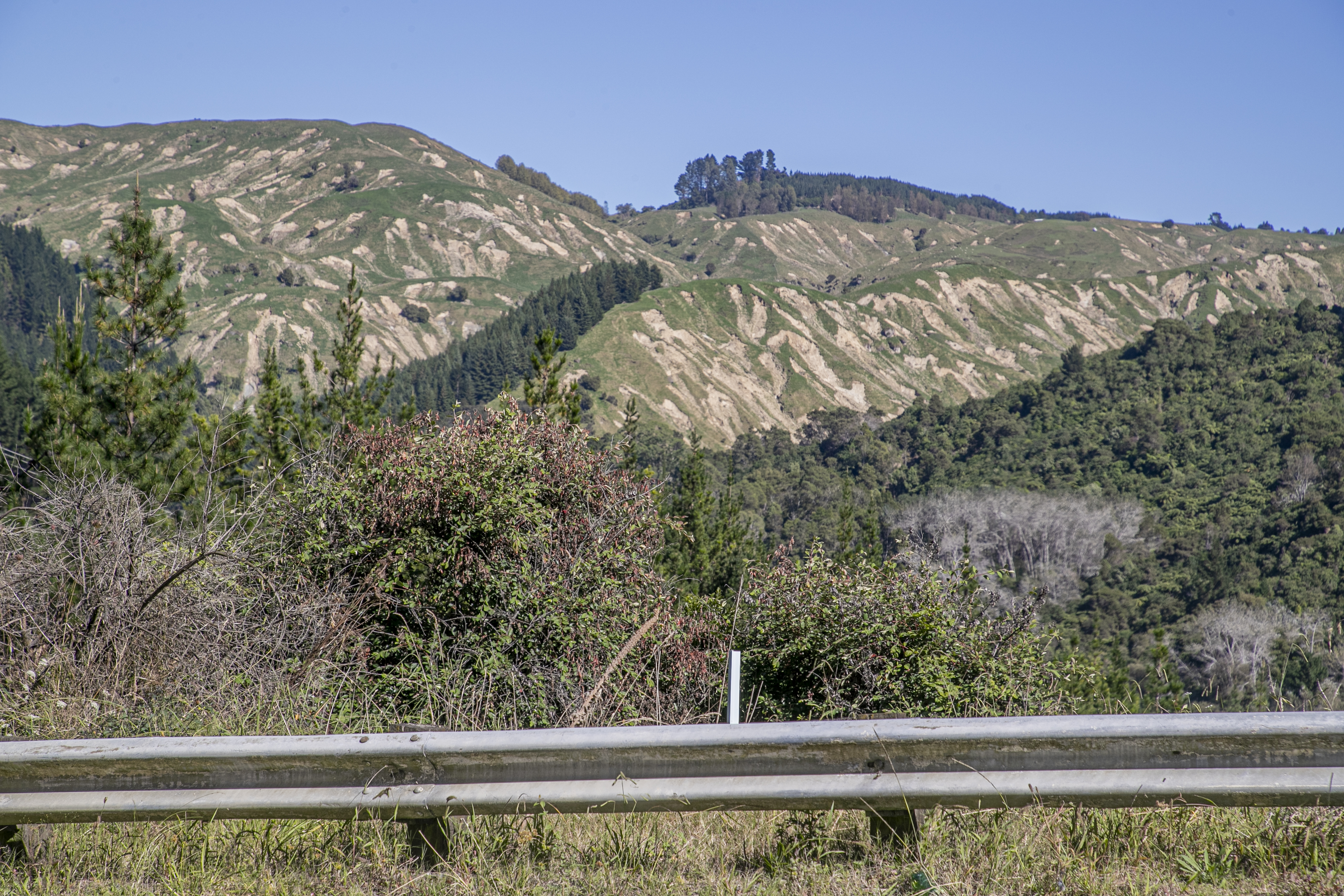 Slips cover the land in rural Hawke's Bay. Photo / Warren Buckland
