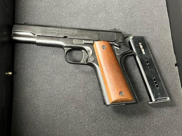 Firearms, methamphetamine and cannabis were among items seized when police searched Auckland properties this week. Photo / Supplied