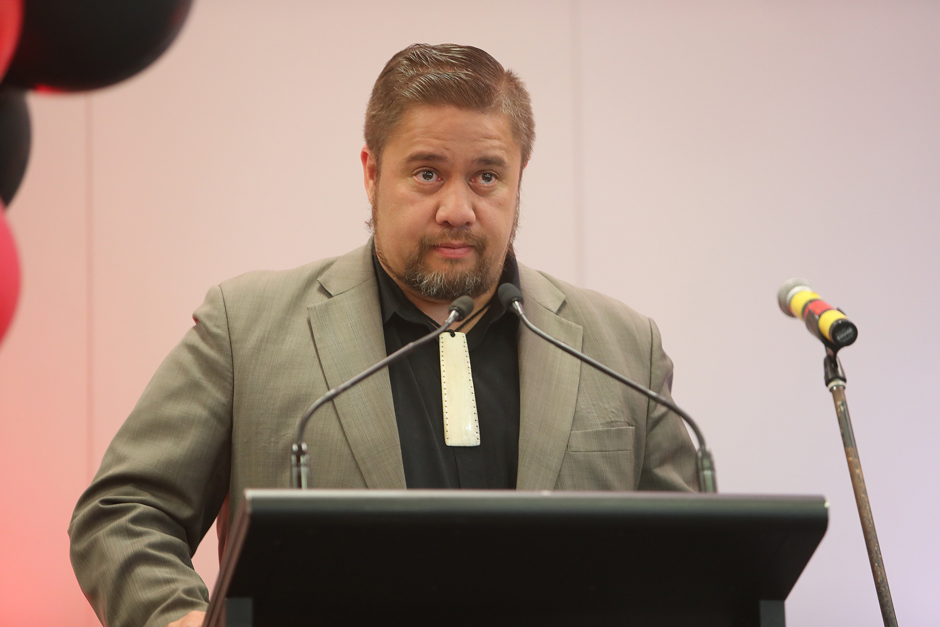 Māori Party president Che Wilson said party volunteers made a mistake. Photo / Bevan Conley