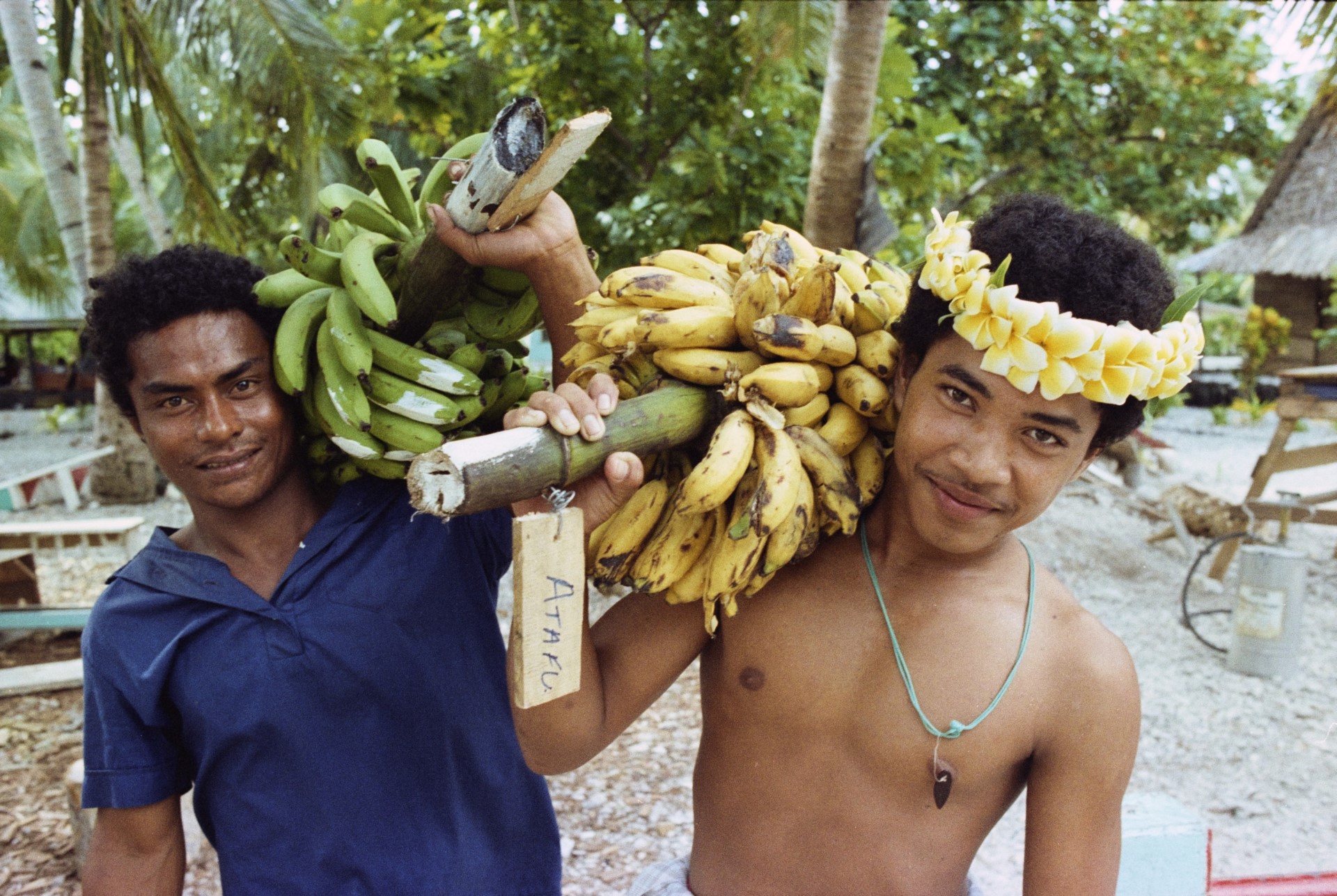Banana Treasures Island