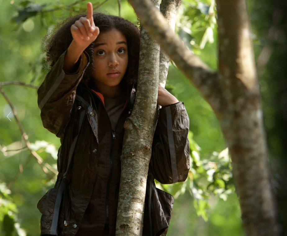 Amandla Stenberg starred as Rue in the first Hunger Games movie.
