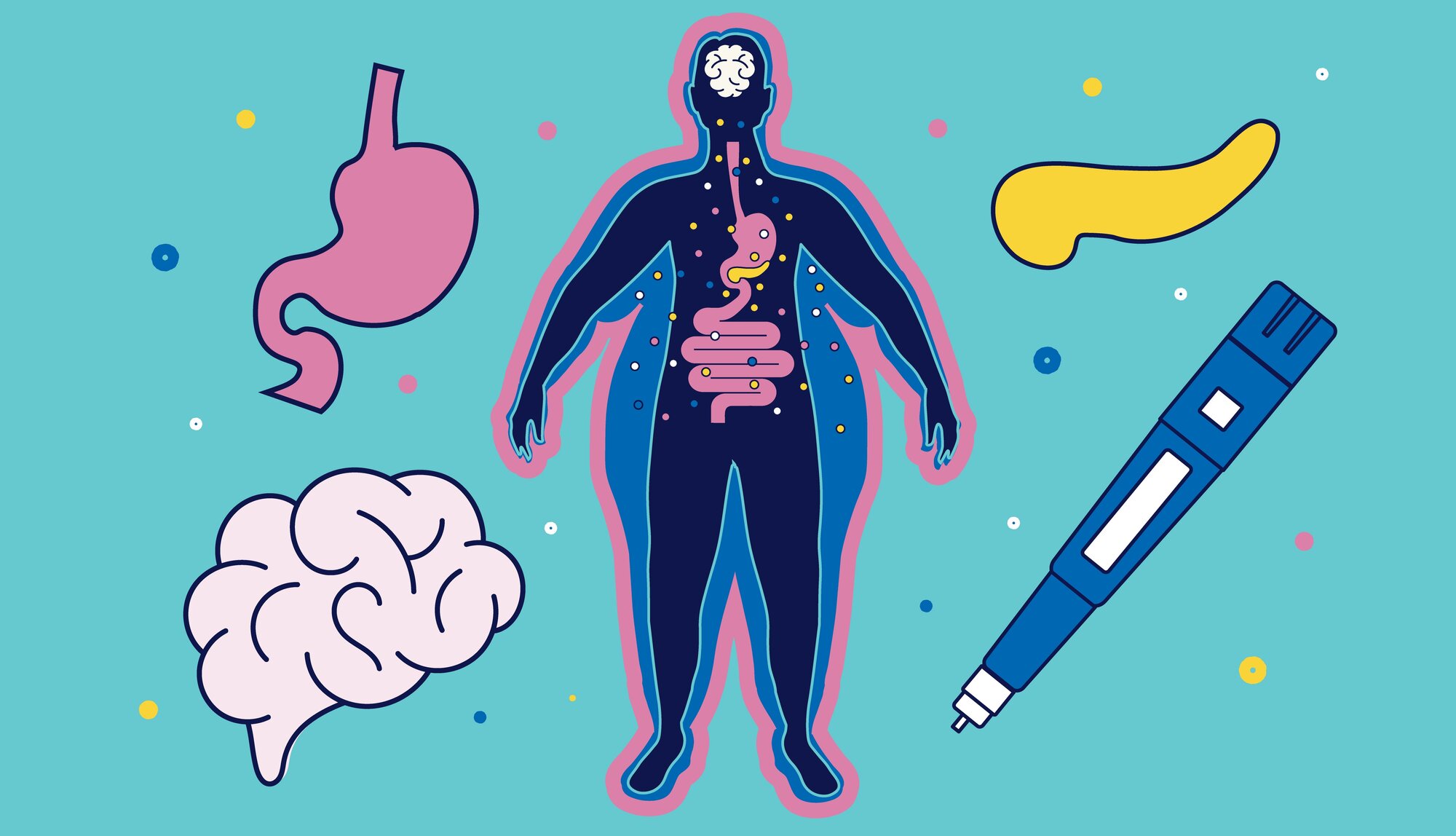 glp-1 medications available new zealand Lilly launches pill, kicking off showdown with Novo Nordisk How GLP-1 medications are transforming