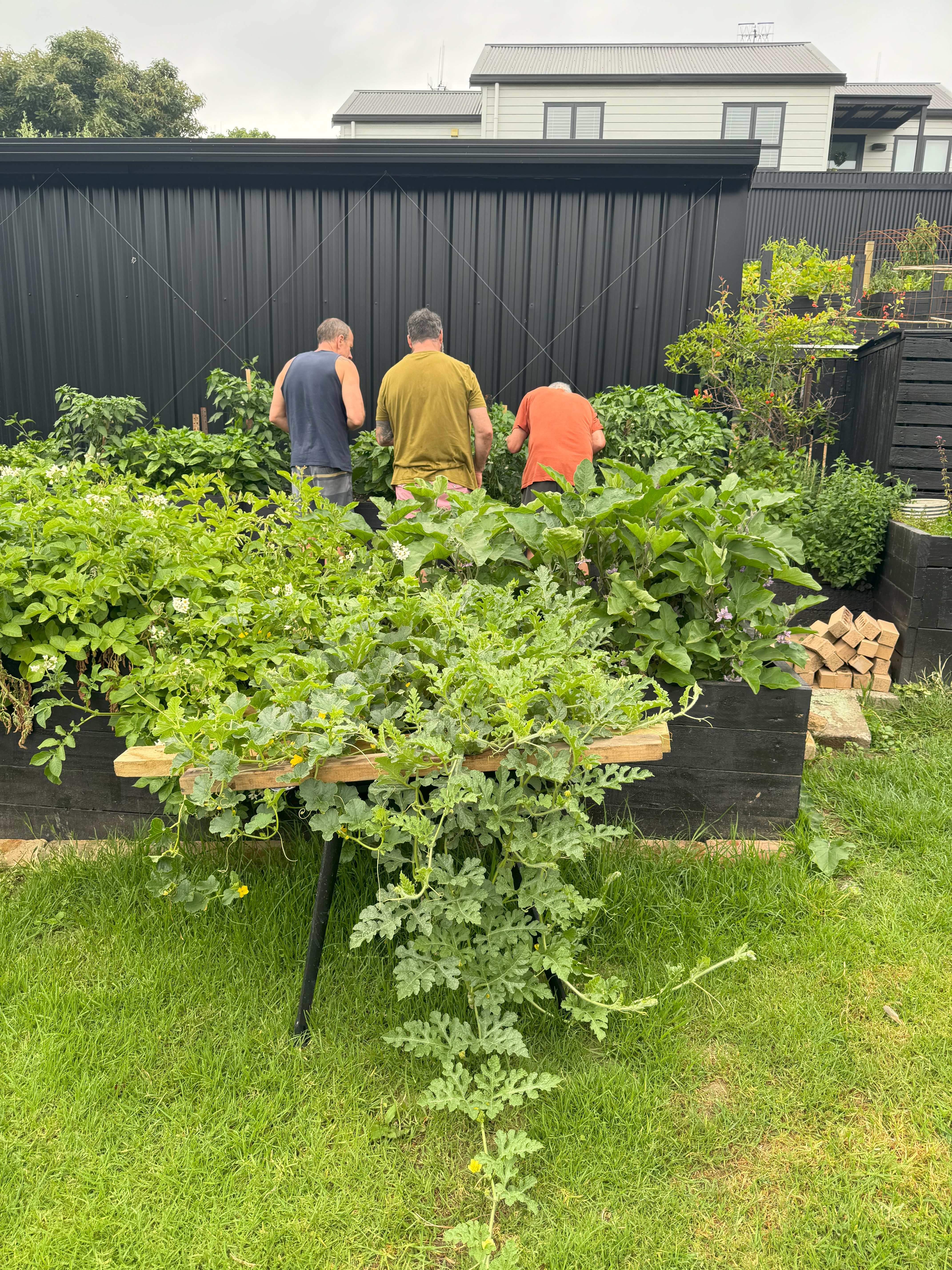 Neighbours working in the new Ferg & Co Community Garden, which Tash and Philip McKinnon established after Cyclone Gabrielle. It reflects 