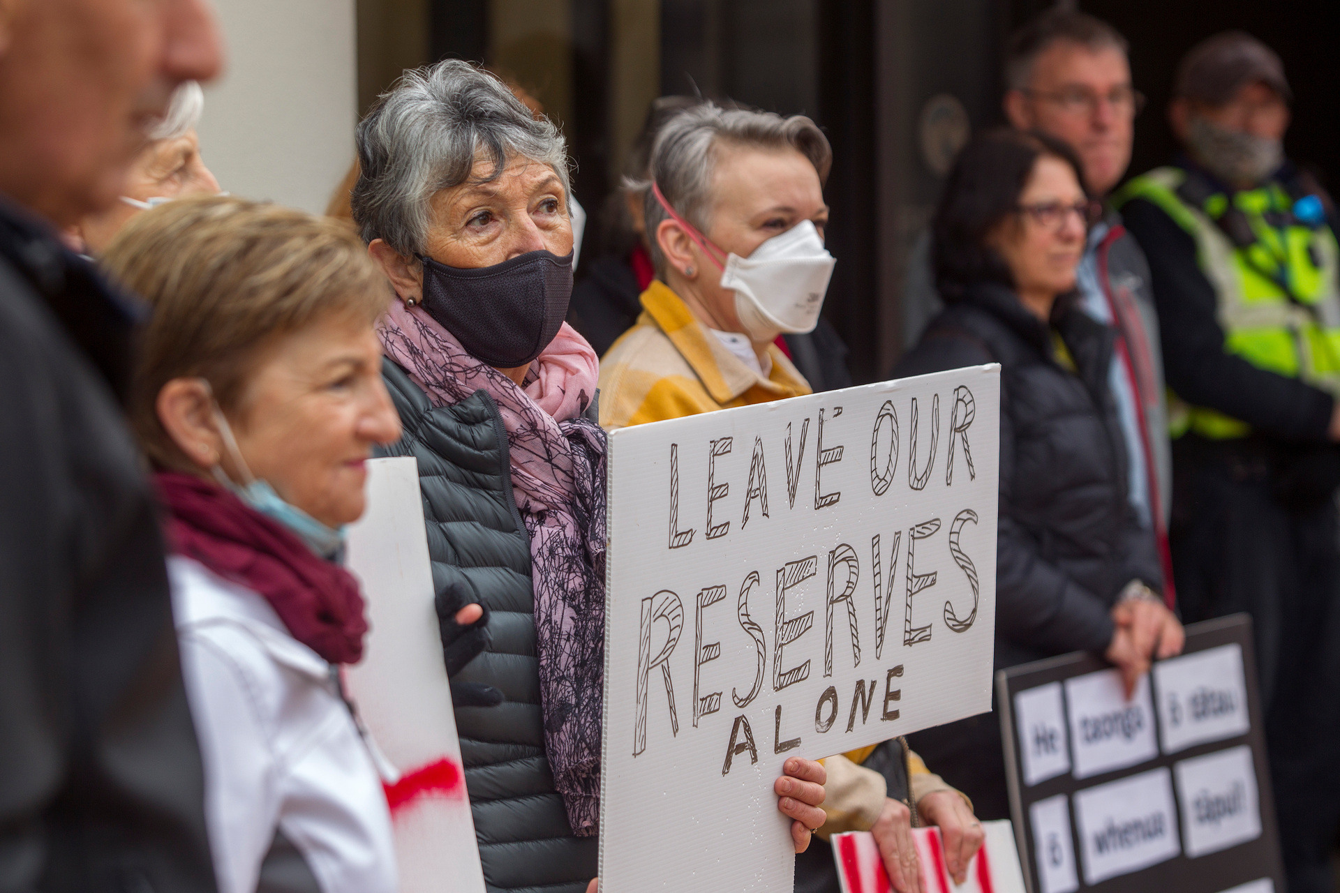 Protesters gather outside the council buildings ahead of the council meeting when the fate of the reserves will be decided. Photo / Ben Fraser