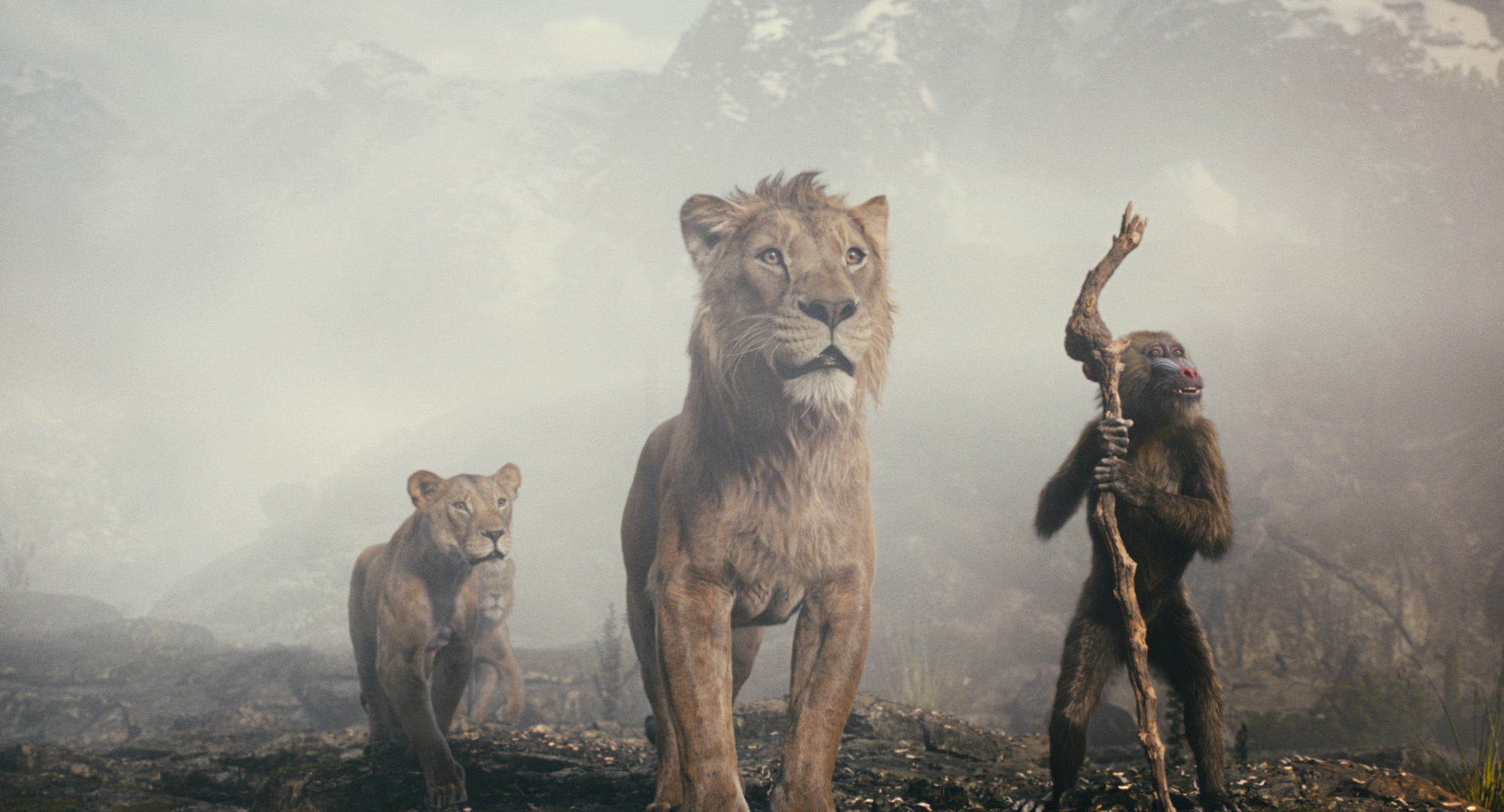 Disney's Lion King prequel Mufasa follows Simba's father became king of the Pride Lands. Photo / Disney