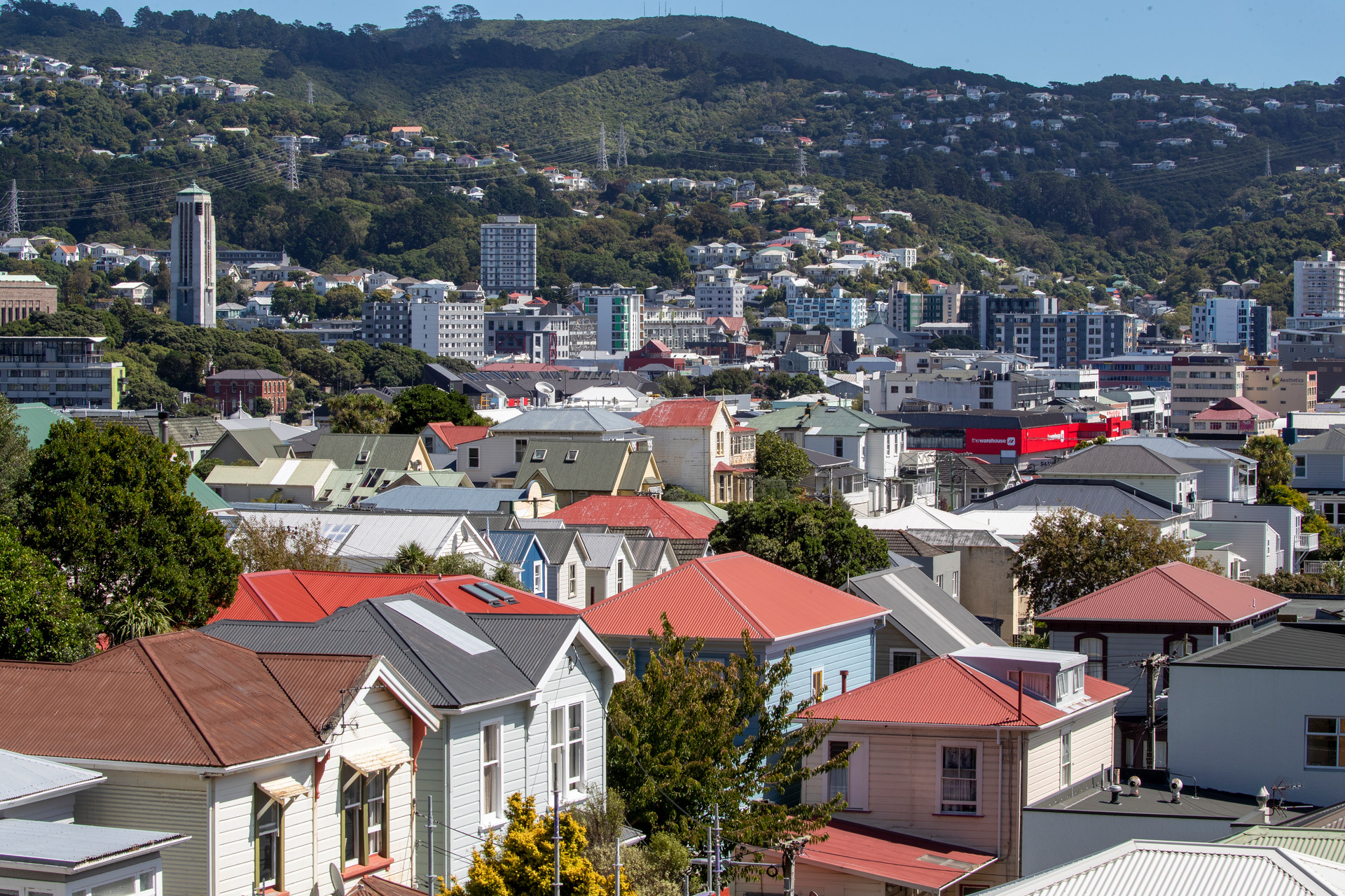 City Housing will be insolvent by June 2023 if nothing changes. Photo / Mark Mitchell