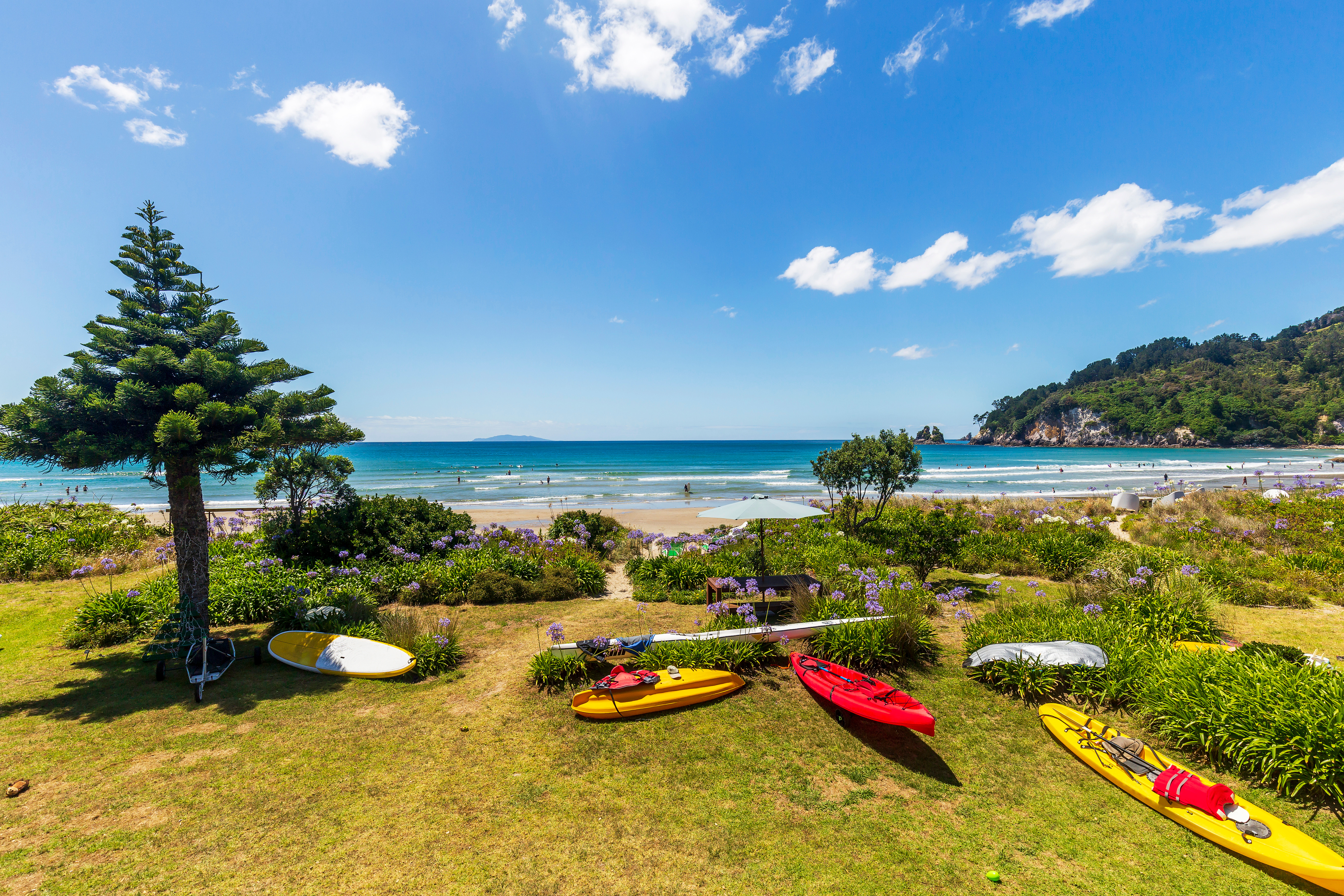 Whangamatā offers three distinct surf options: The Bar, The Beach, and The Estuary. Photo / 123rf