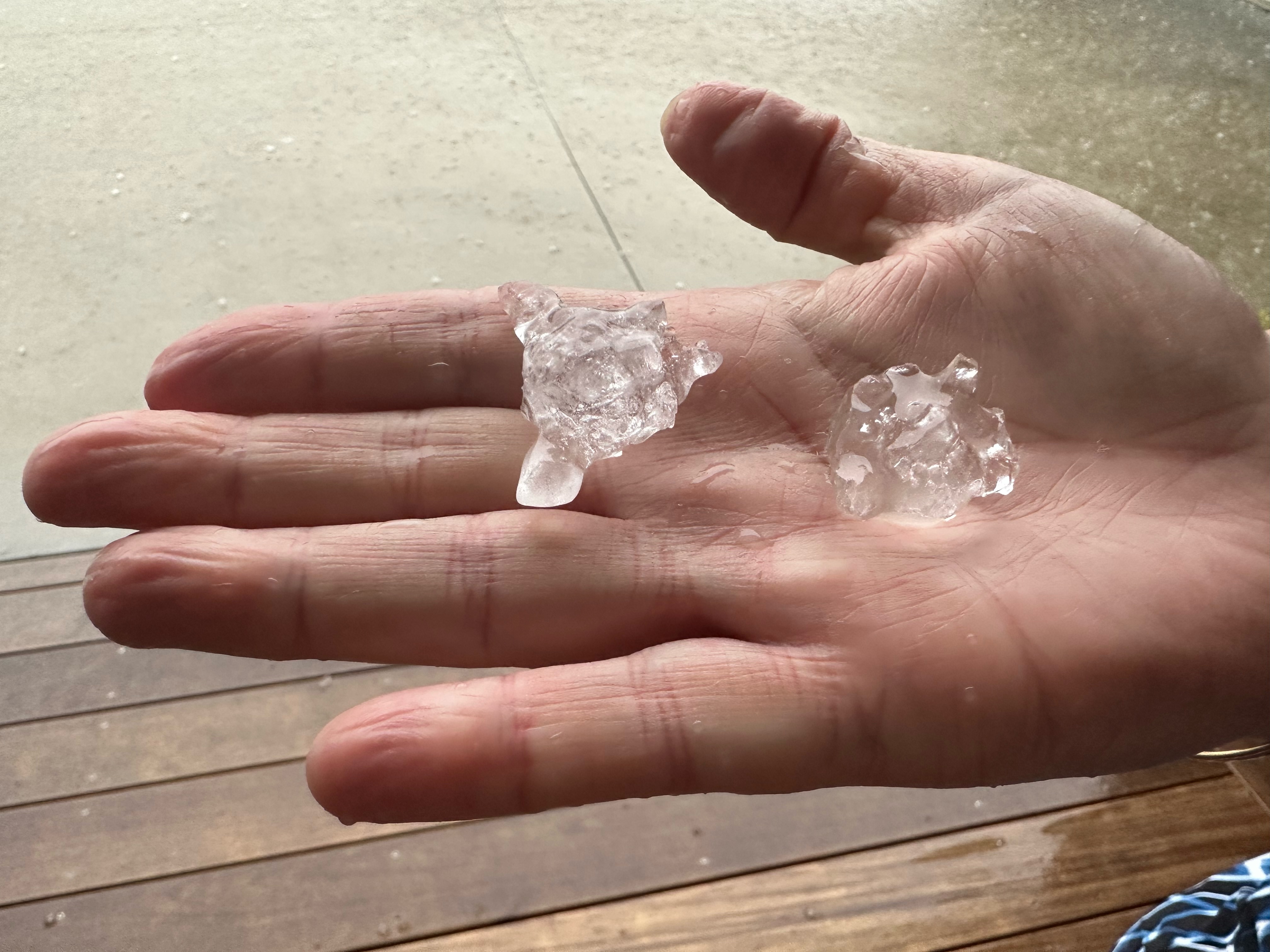 A resident sizes up huge hailstones. Photo / Alison Barlow