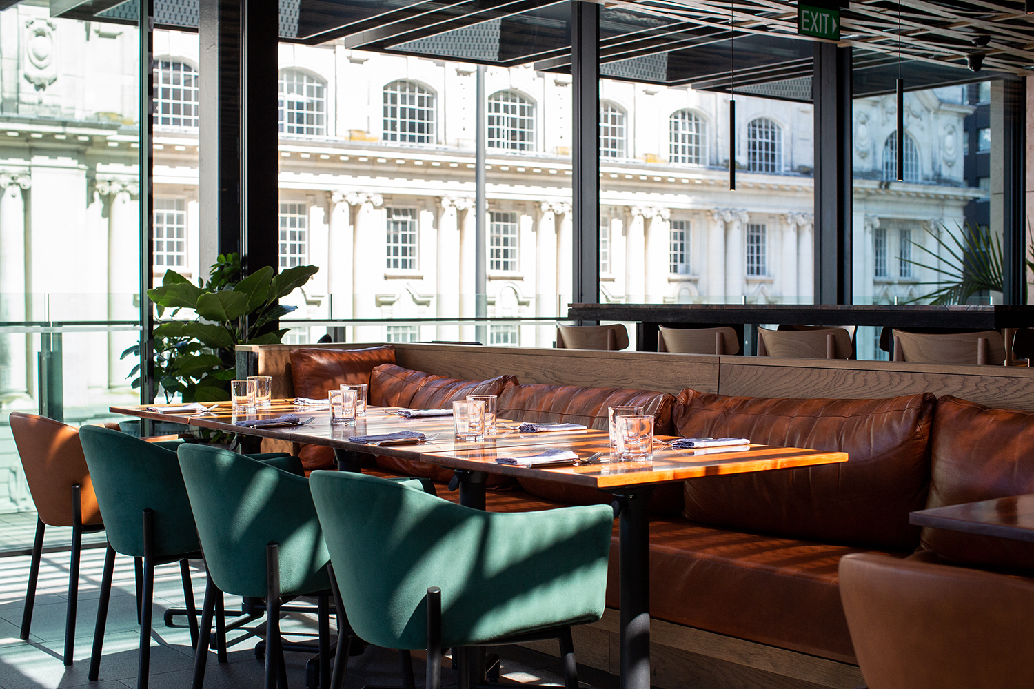 Elevated in Commercial Bay, Ahi soaks in city views. Photo / Babiche Martens