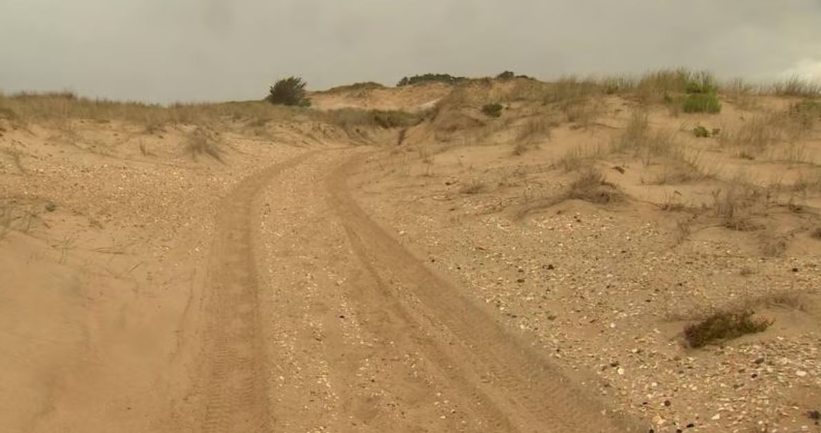 The hapu says the dunes have been damaged by motorised vehicles travelling over them. Photo / Supplied