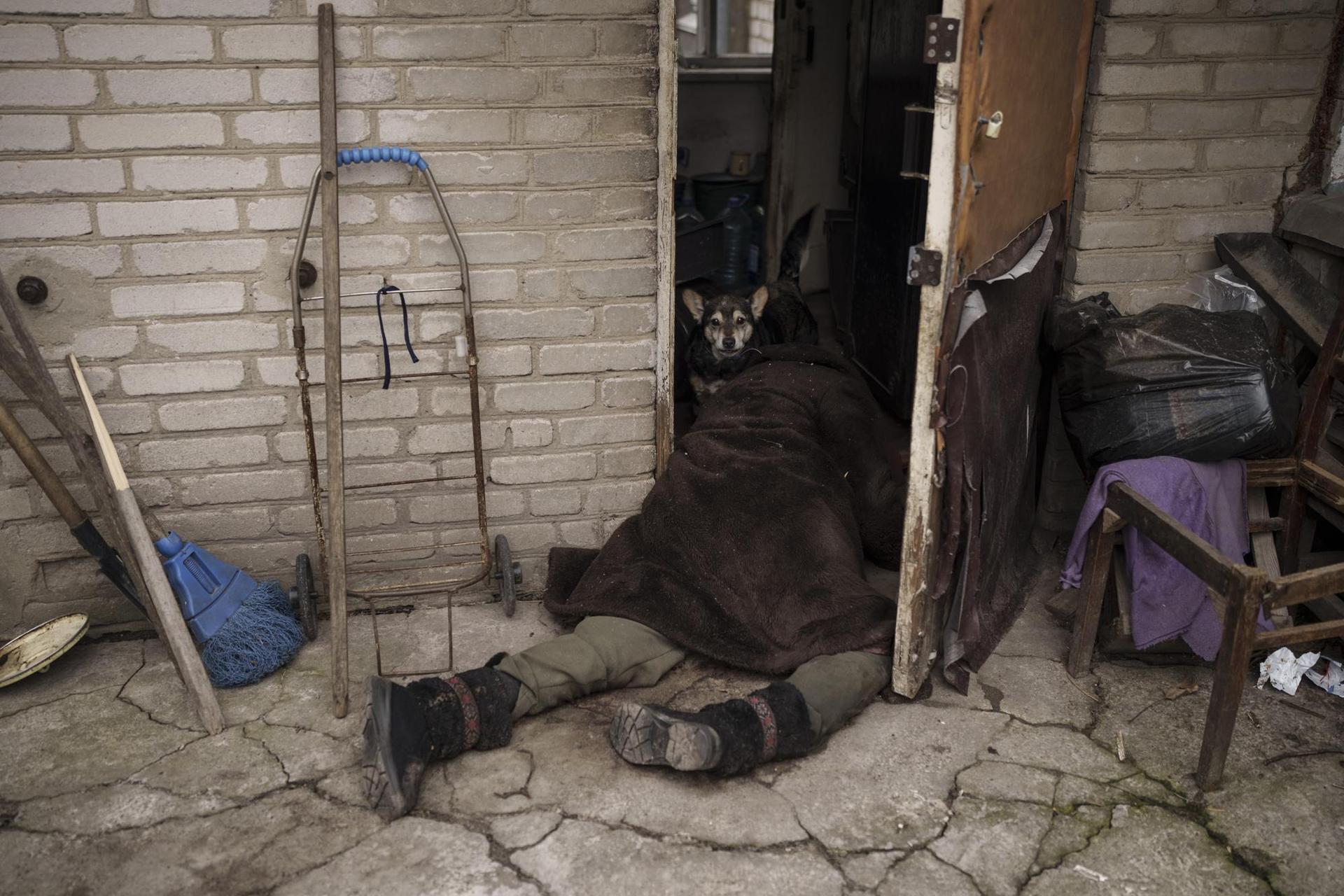 A dog stands next to the body of an elderly woman killed at the entrance of her house in Bucha, outskirts of Kyiv, Ukraine, Tuesday, April 5, 2022. Photo / AP