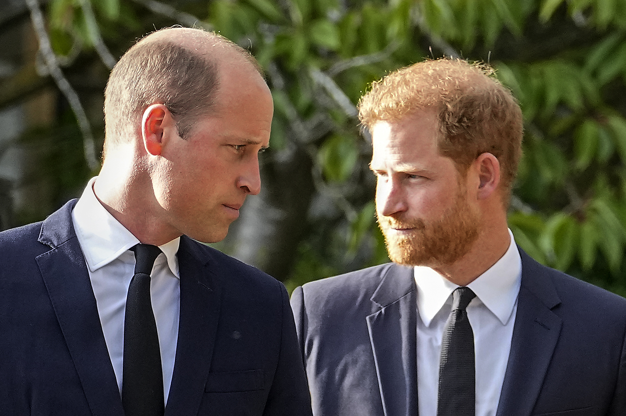 Prince Harry brands Prince William his “arch nemesis” in his new book - the most brutal attack on his brother yet. Photo / AP