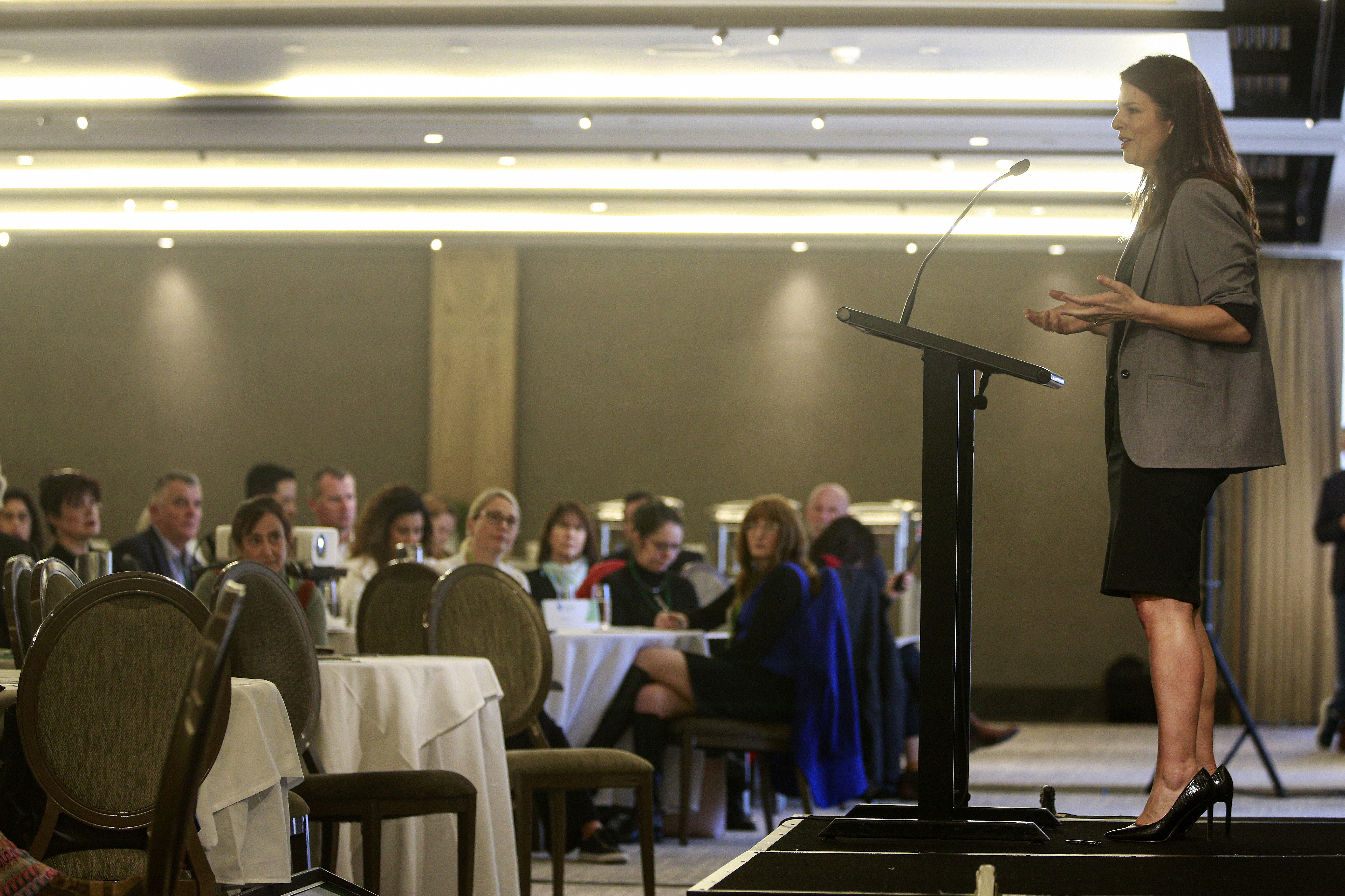National Party immigration spokesperson Erica Stanford speaking at the NZ Association for Migration and Investment conference at the Cordis. Photo / Alex Burton