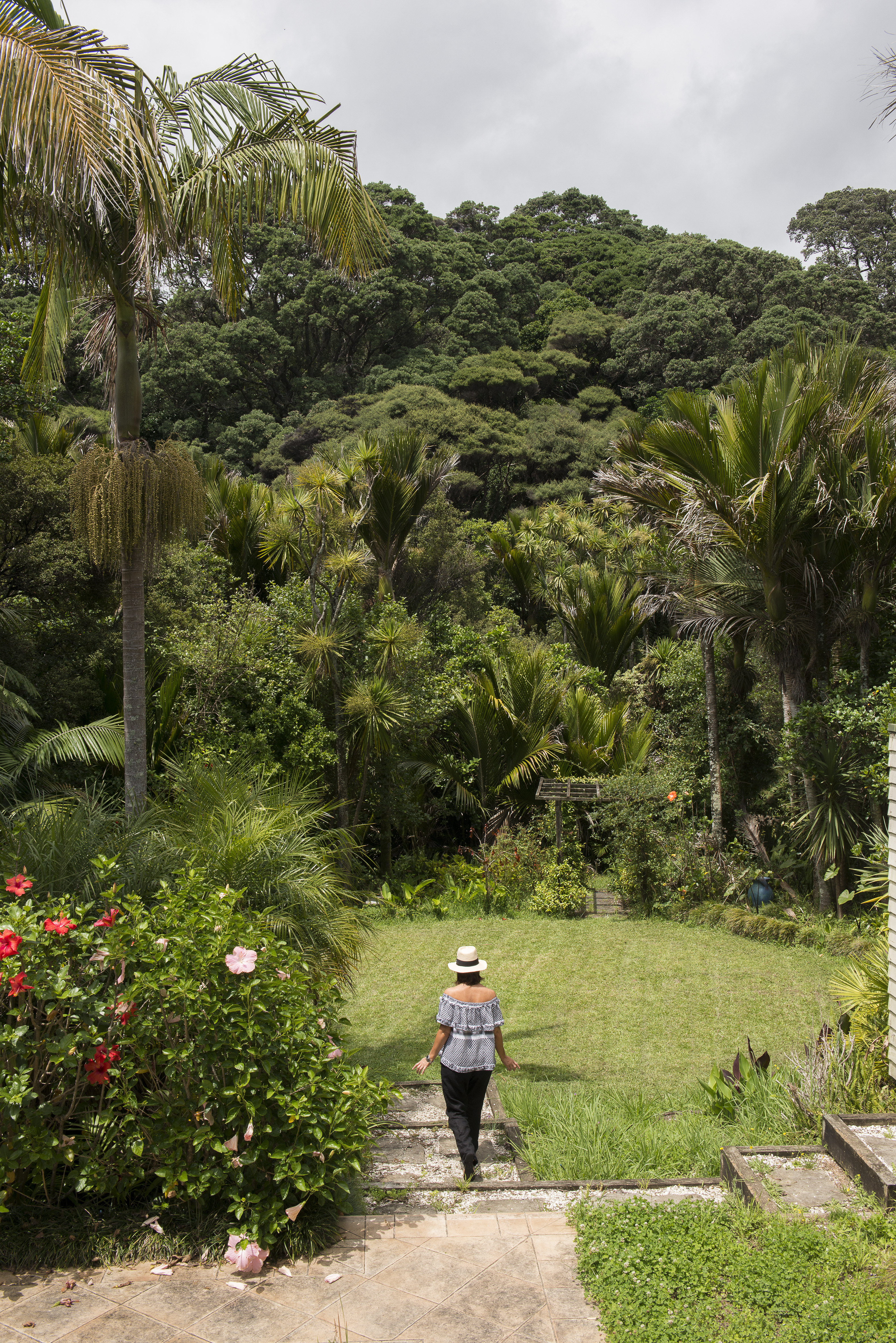 Katrina’s studio is surrounded by native bush. Photo / Helen Bankers