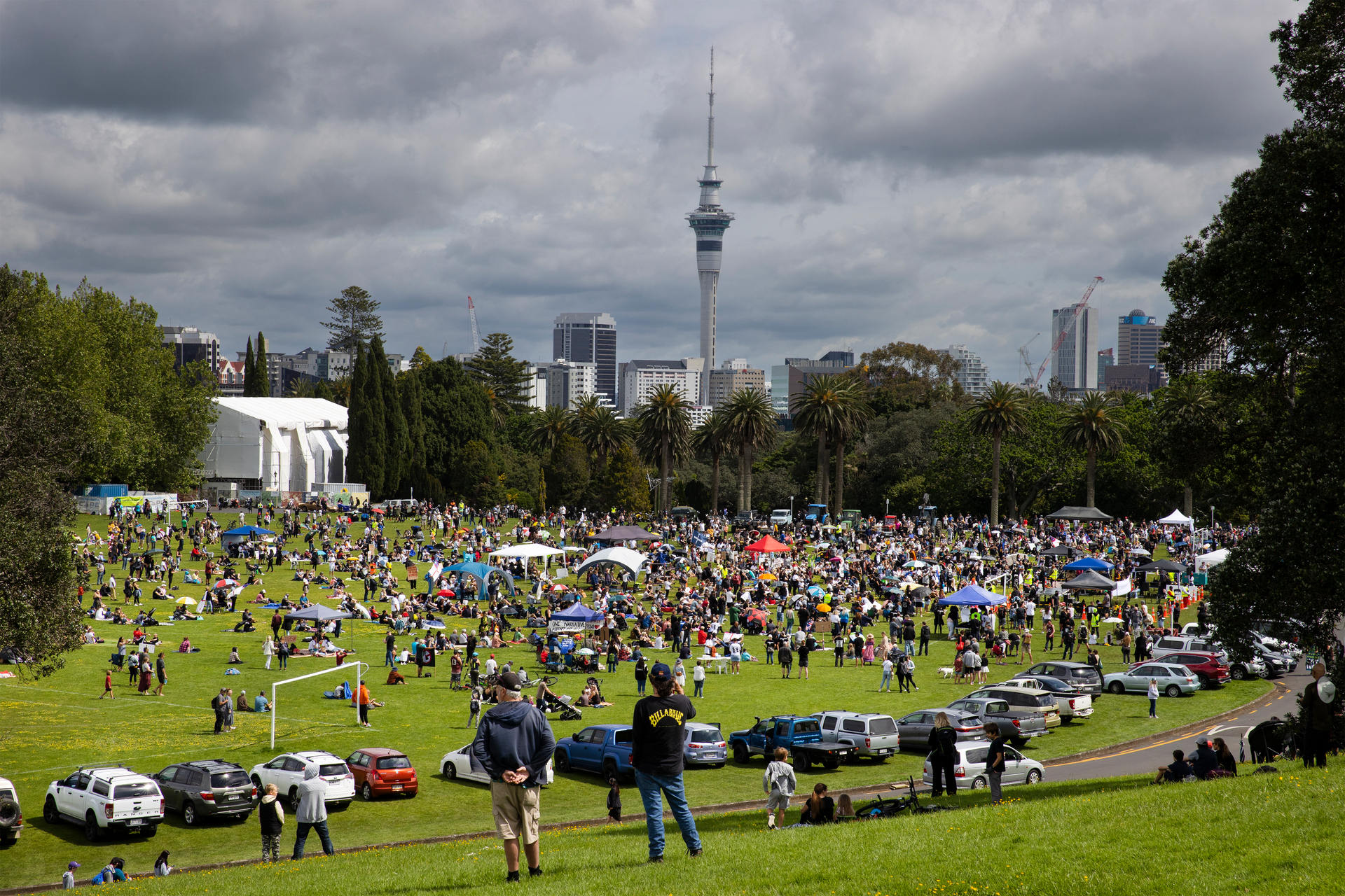 People at the Freedom & Rights Coalition lockdown protest at Auckland Domain on October 30, 2021. Photo / Brett Phibbs