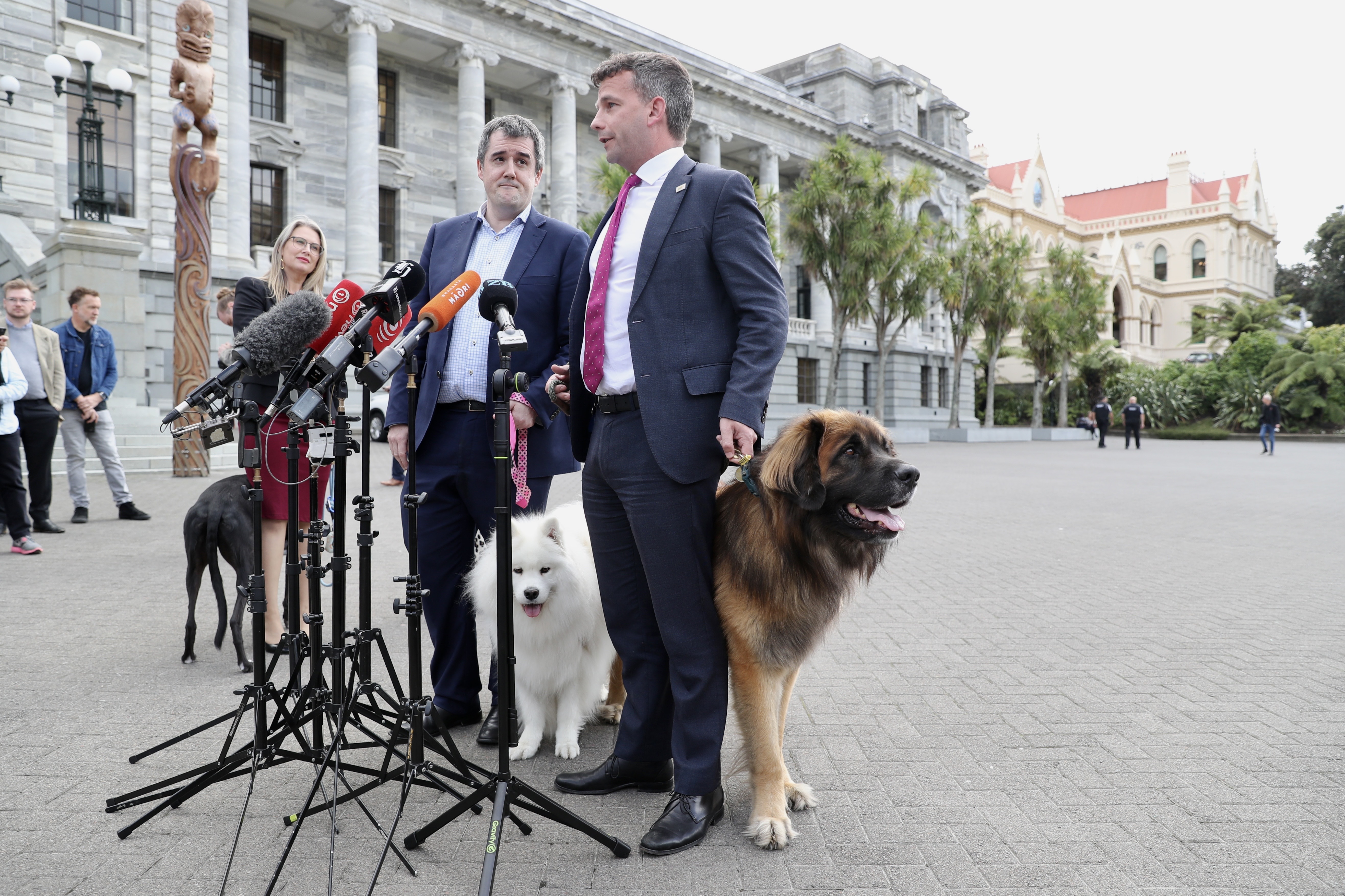 Chris Bishop and David Seymour outline new policy to help pet-owners find rental accommodation. Photo / Mark Mitchell