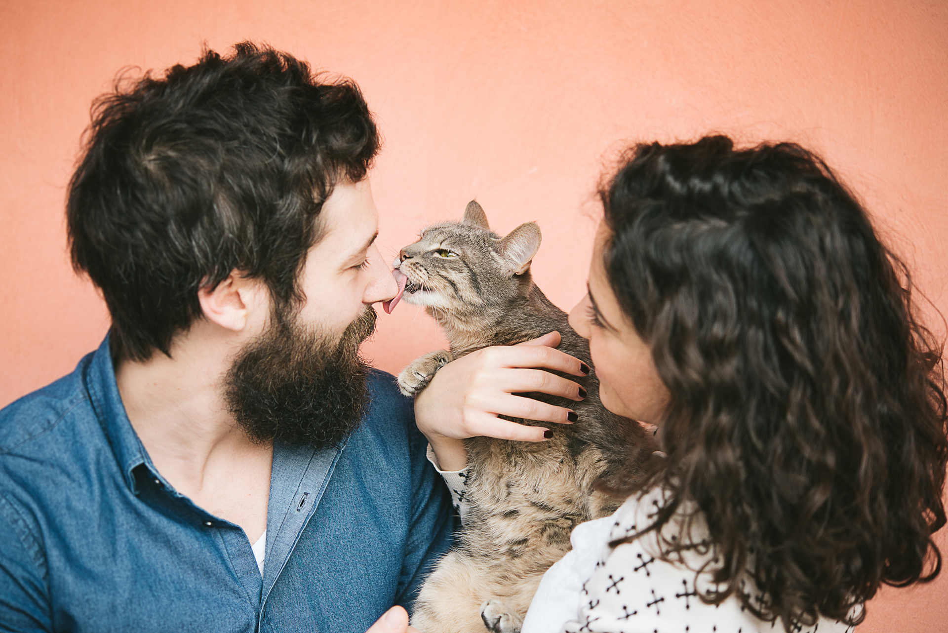 New dating app for cat lovers launches on International Cat Day