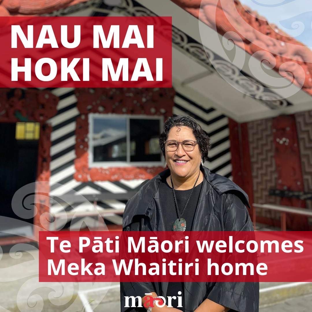 Te Pāti Māori has called Meka Whaitiri home. Photo / Te Pāti Māori
