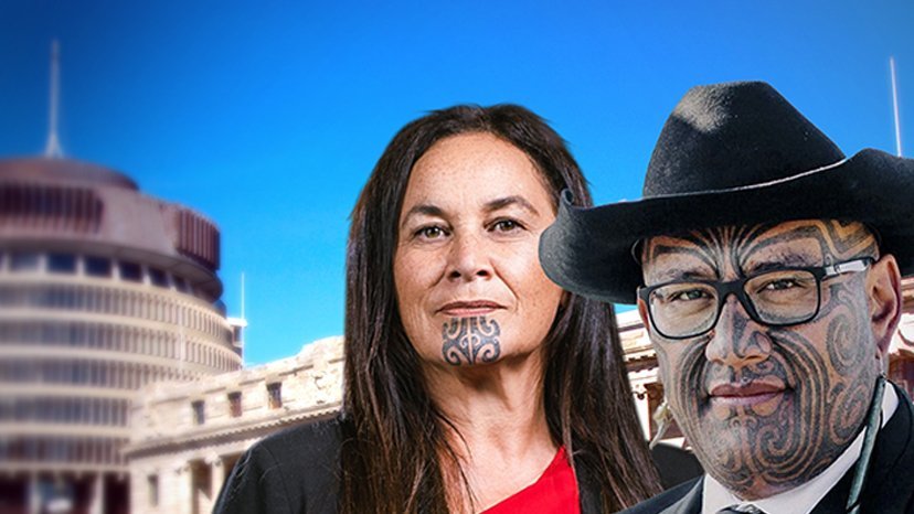 Te Pāti Māori leaders Debbie Ngarewa-Packer and Rawiri Waititi. Photo / Whakaata Māori