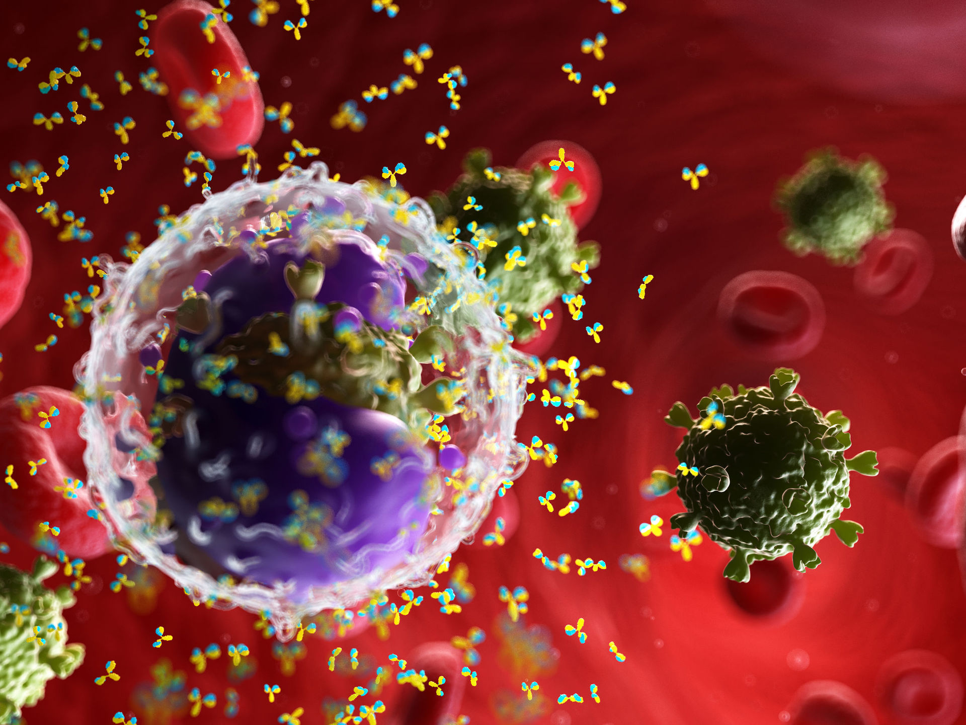 Antibodies play a critical role in the immune system's fight against pathogens like the coronavirus. Photo / 123RF