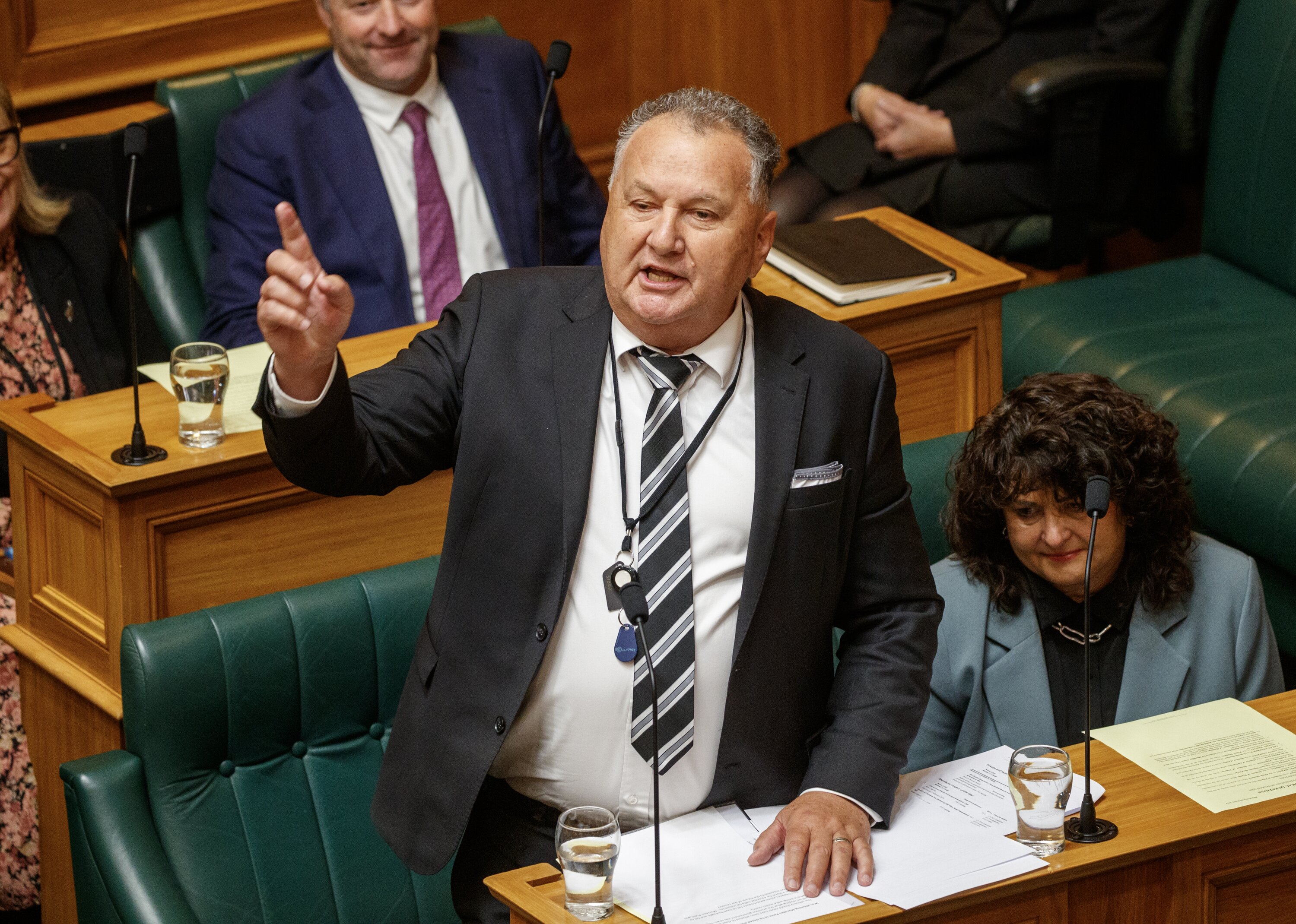 Resources Minister Shane Jones is promising Cabinet will address New Zealand's energy and fuel security. Photo / Mark Mitchell