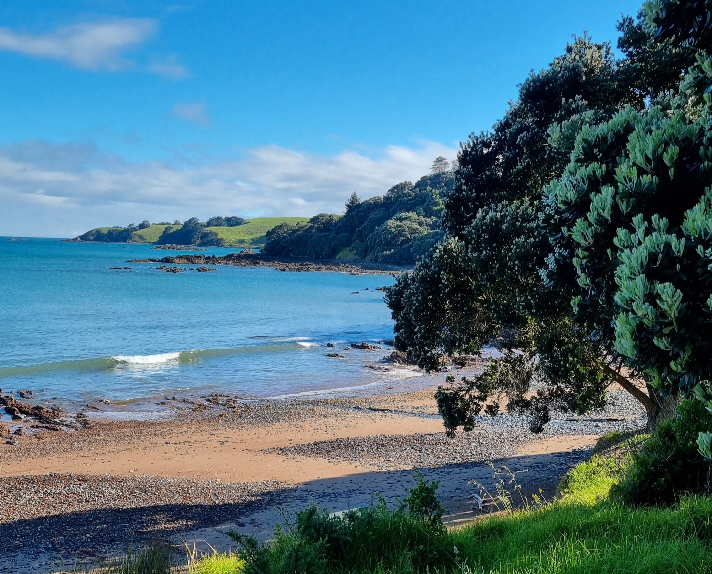 Motutapu Island is one of two areas where fishing will be permitted.